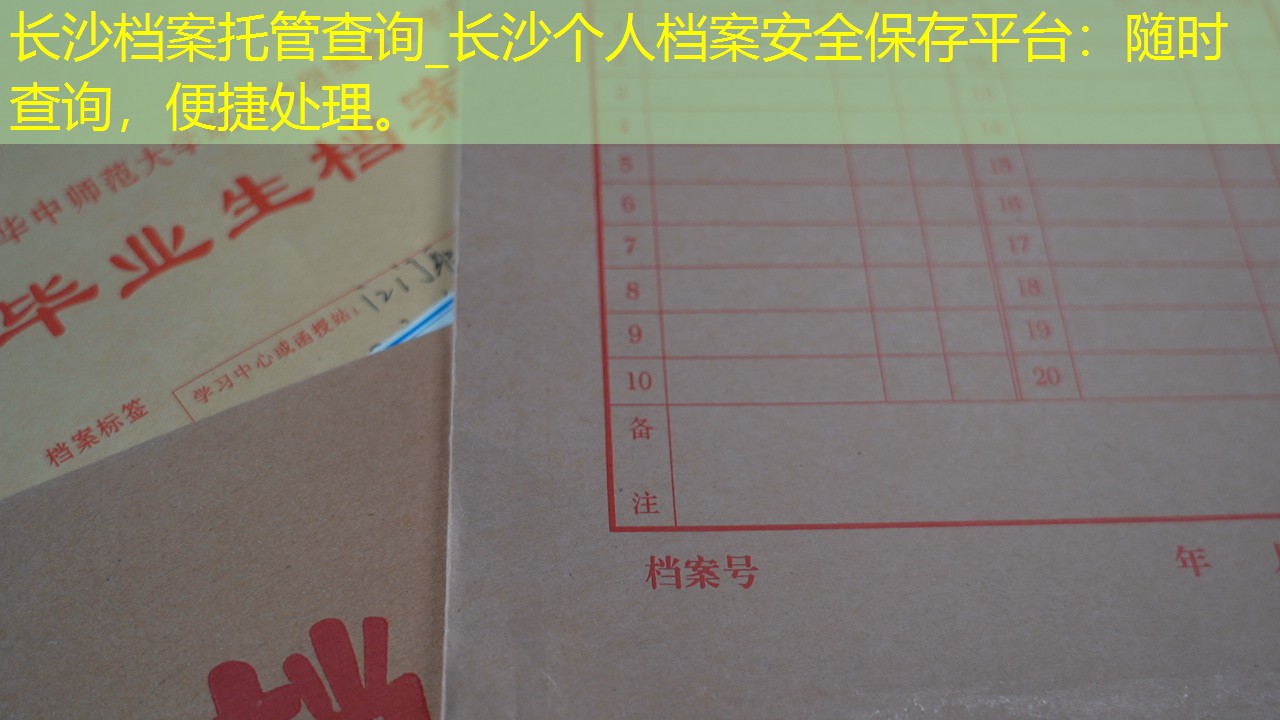 档案查询