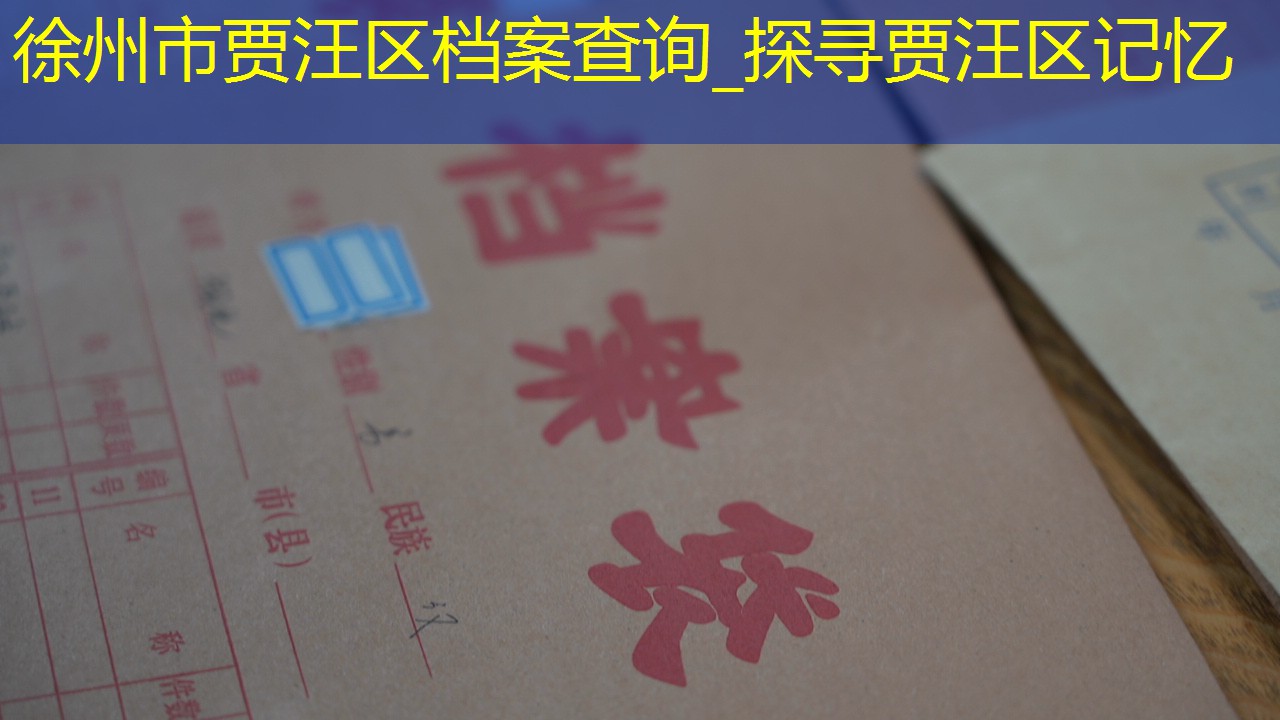 档案查询