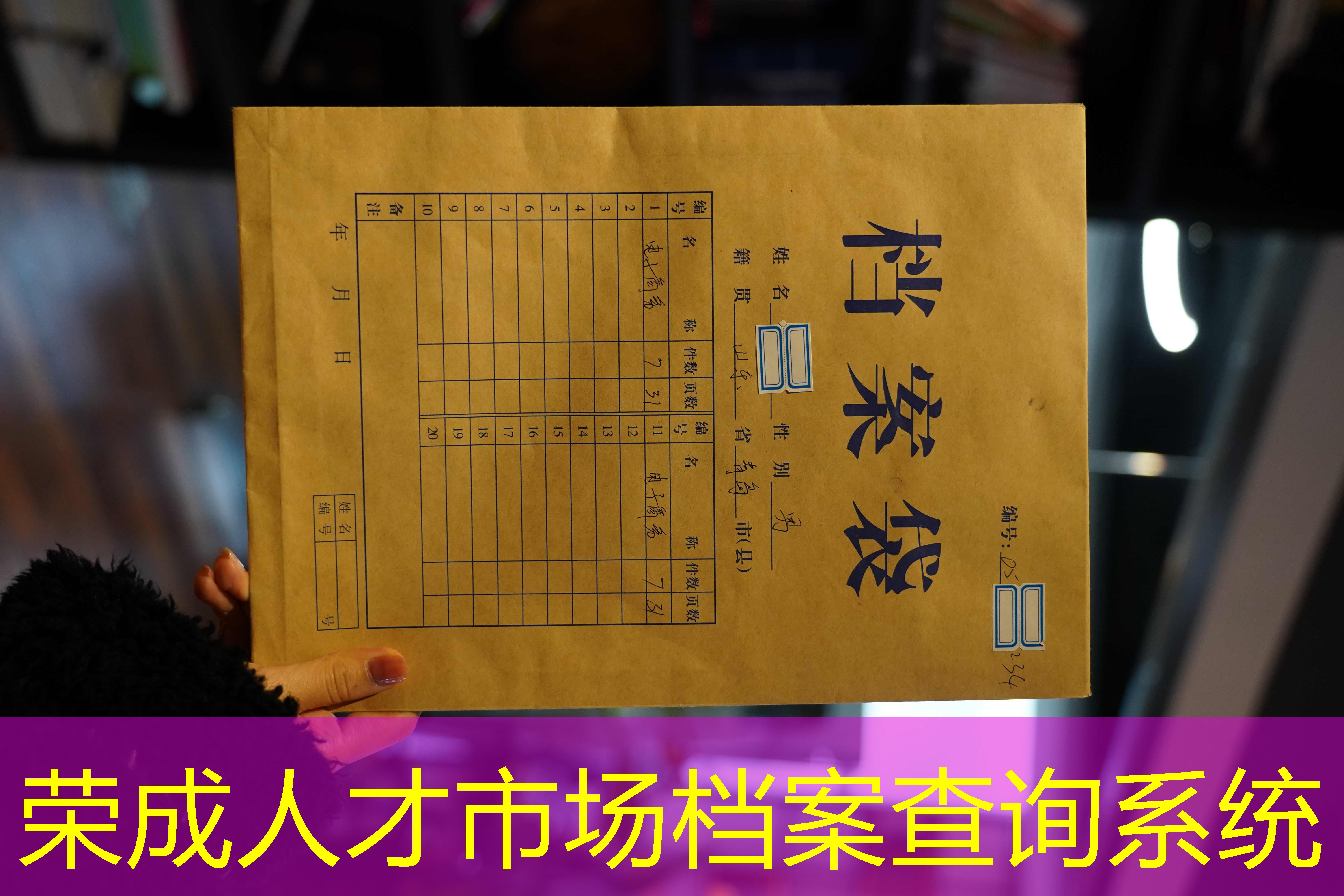 档案查询