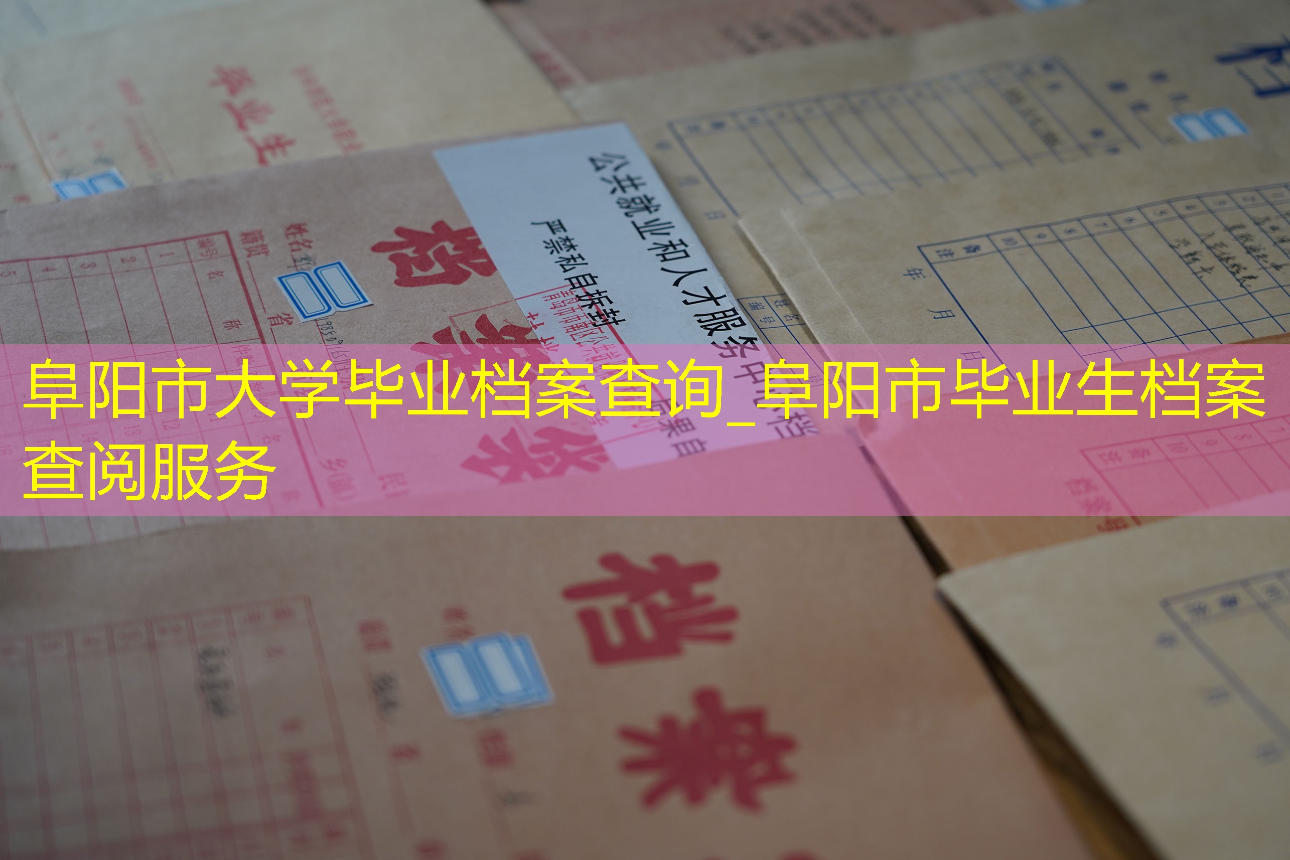 档案查询