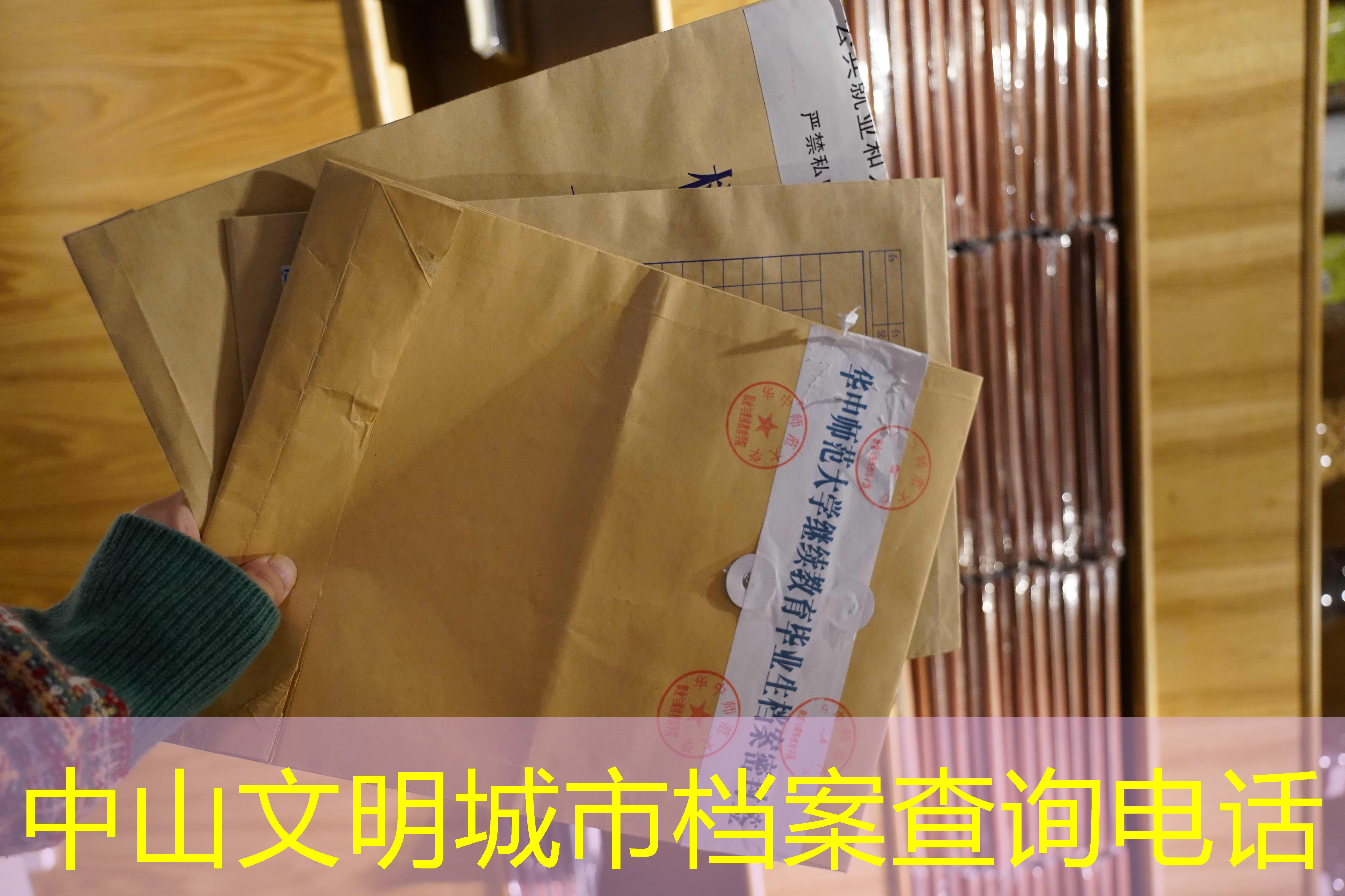 档案查询