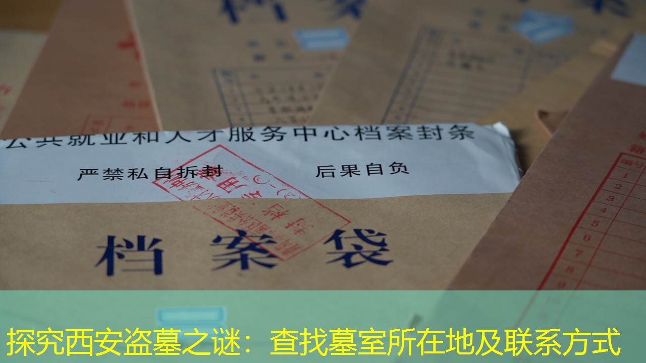 档案查询