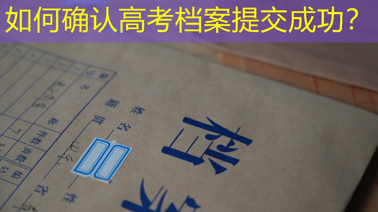 档案查询