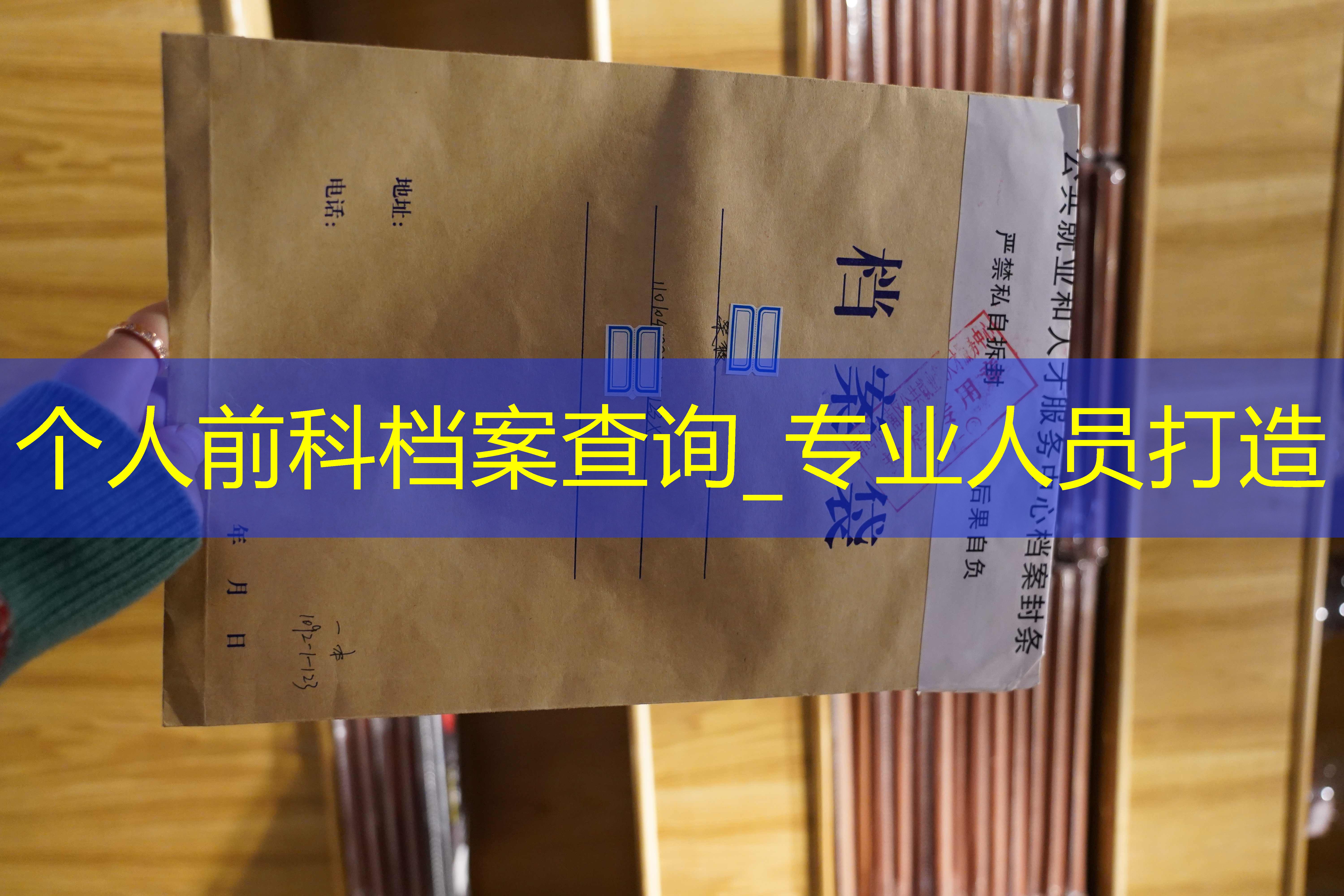 档案查询