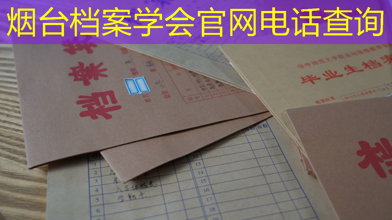 档案查询