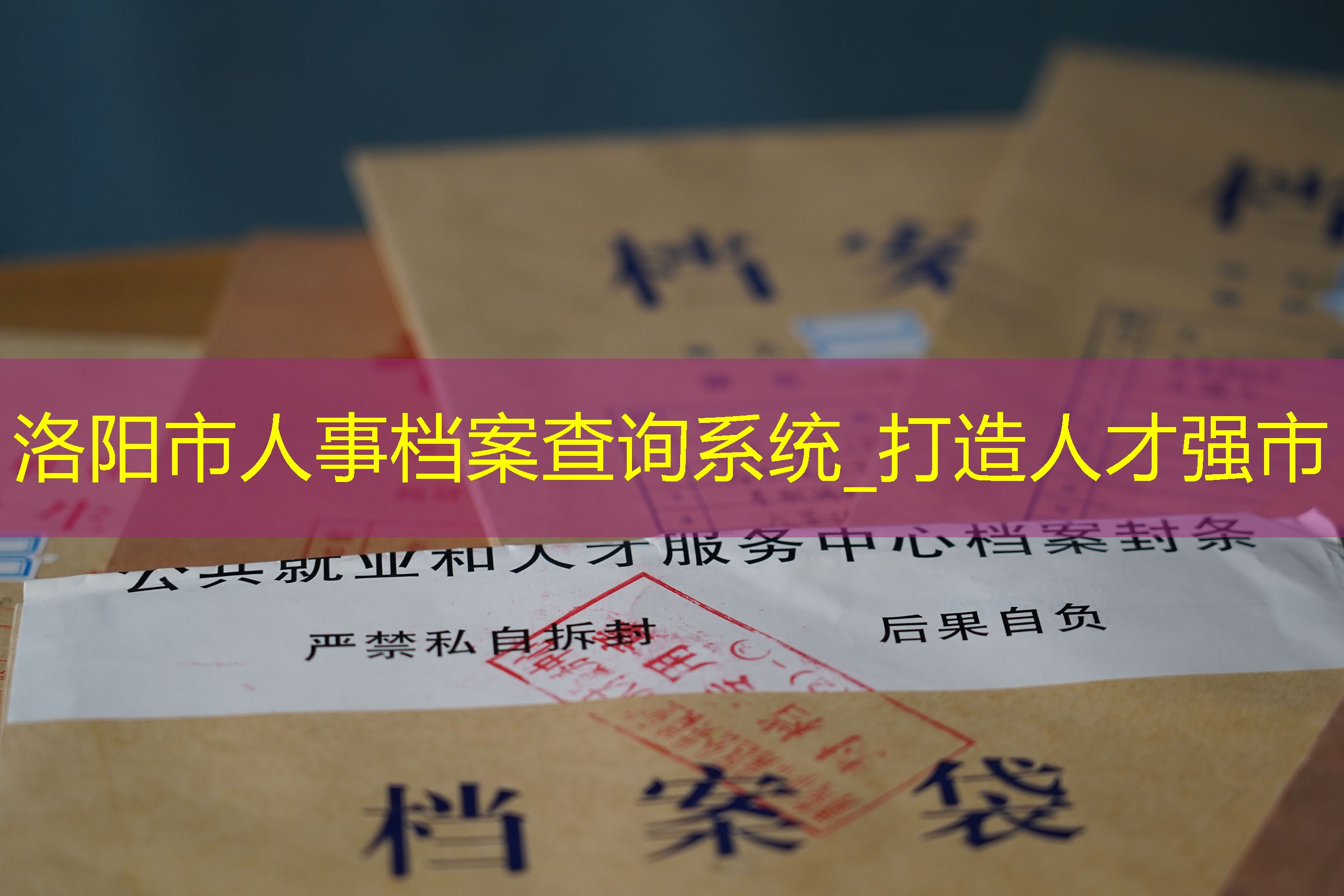 档案查询
