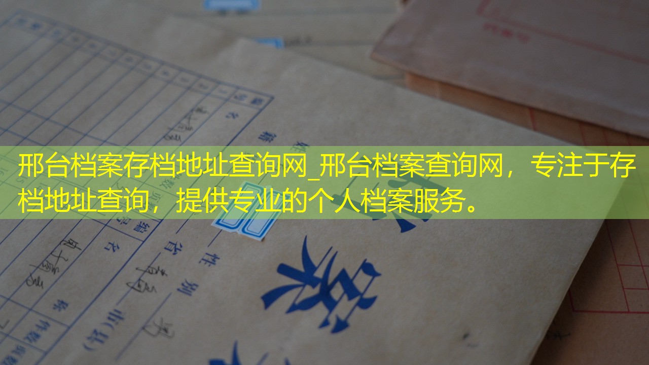 档案查询