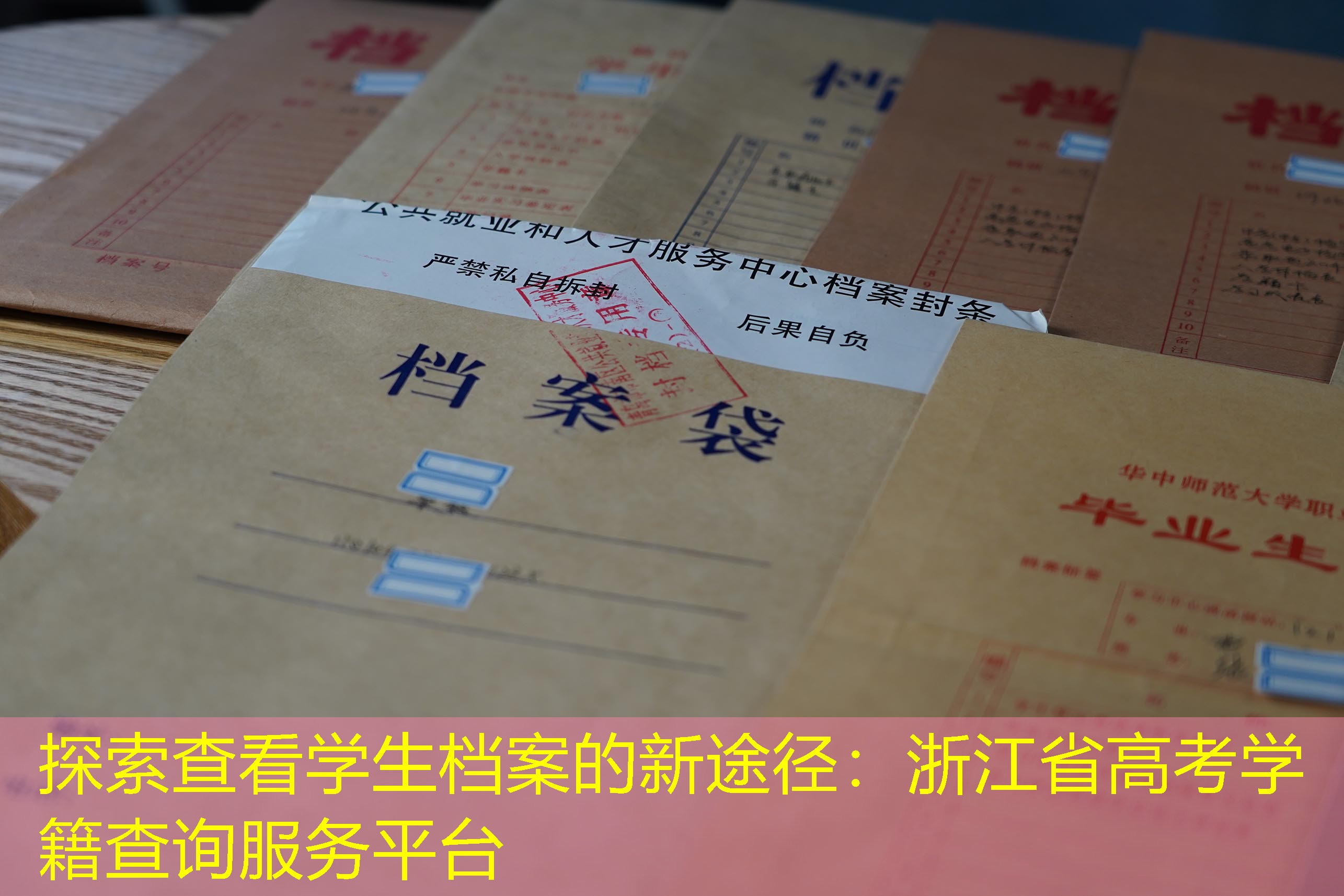 档案查询