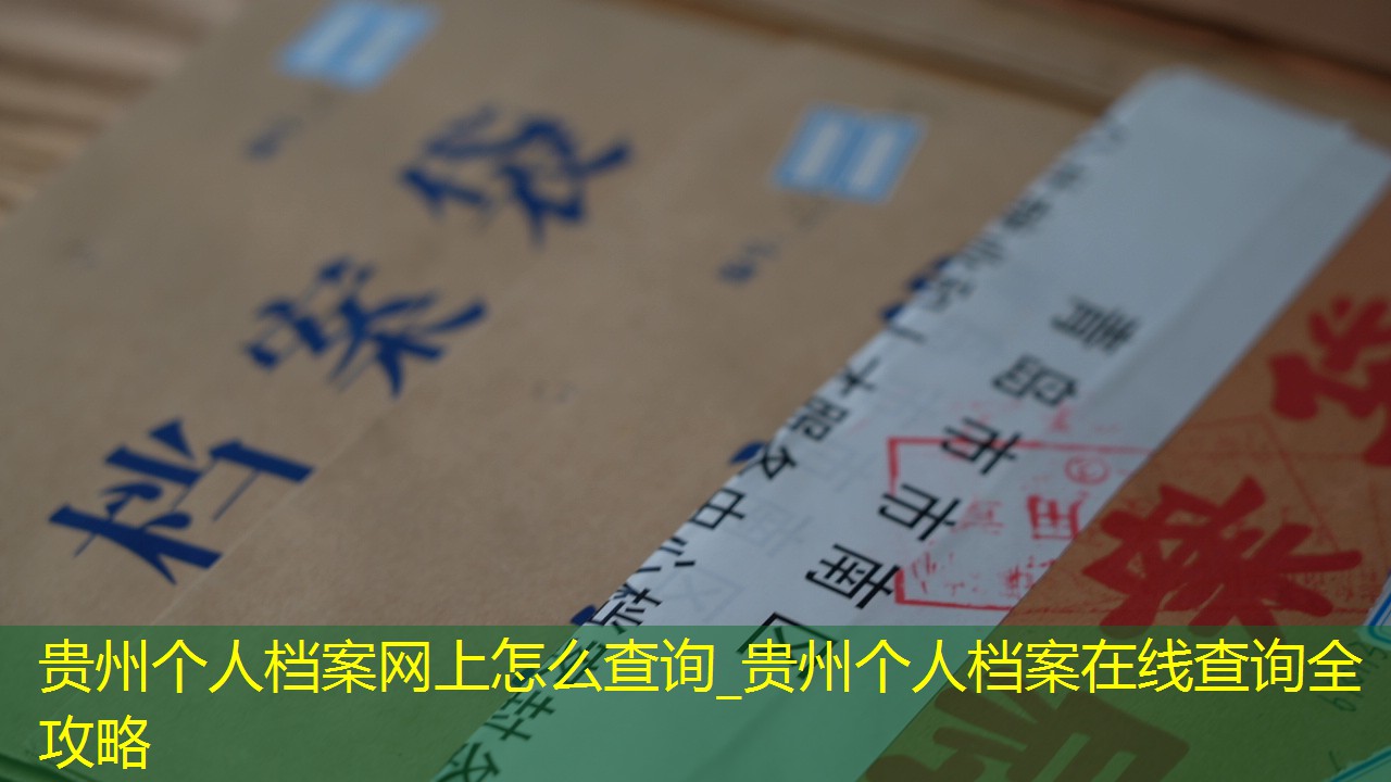 档案查询