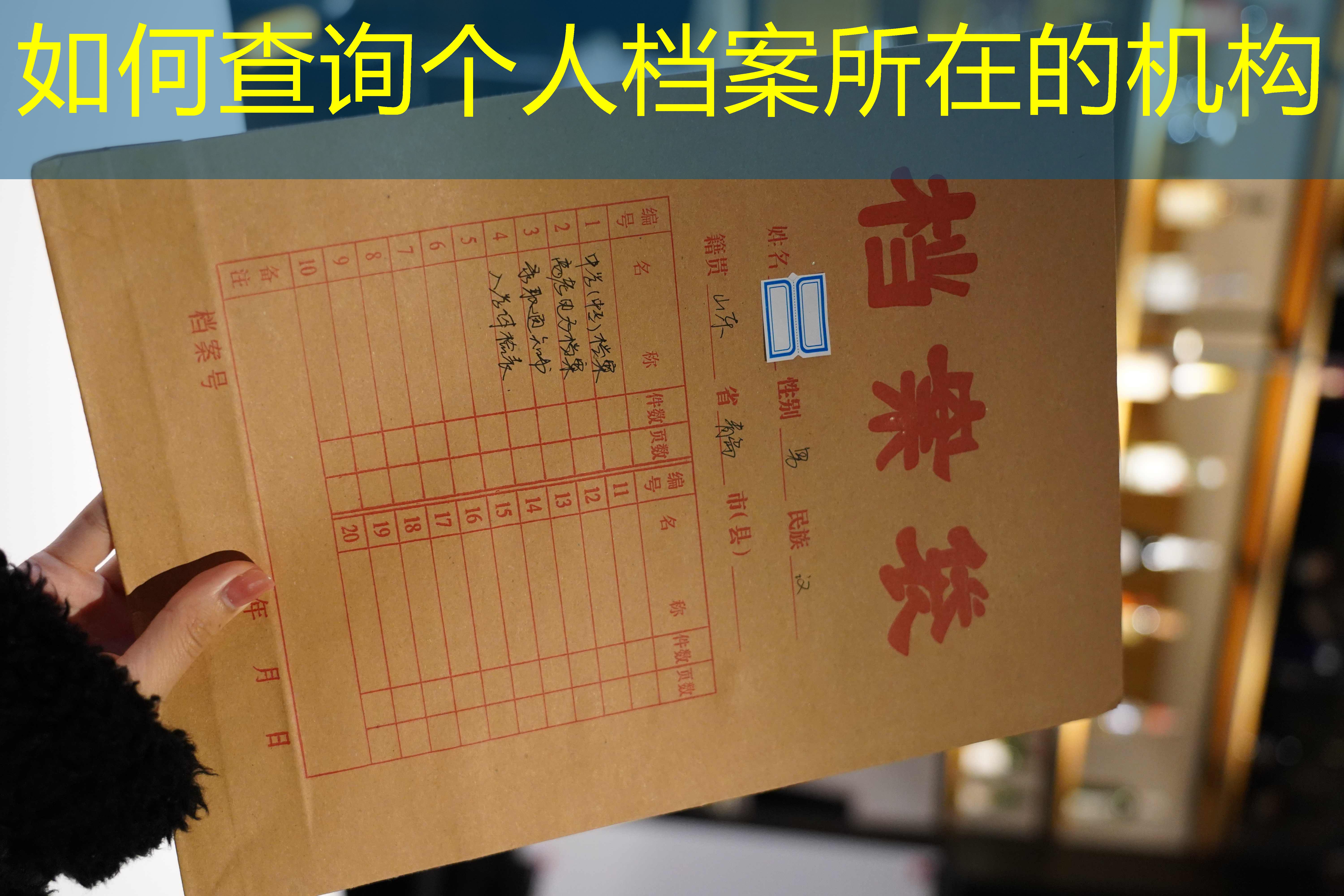 档案查询