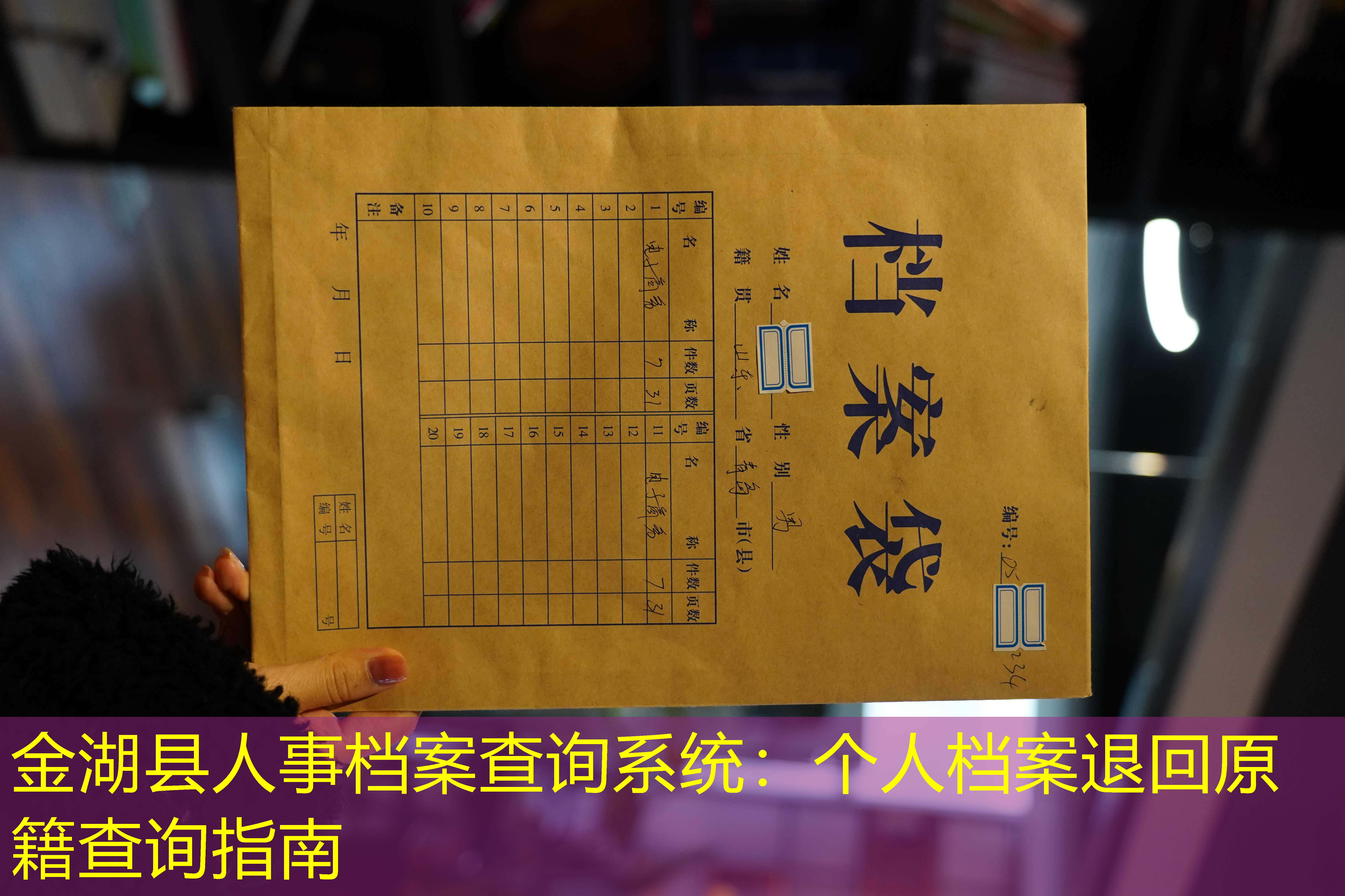 档案查询