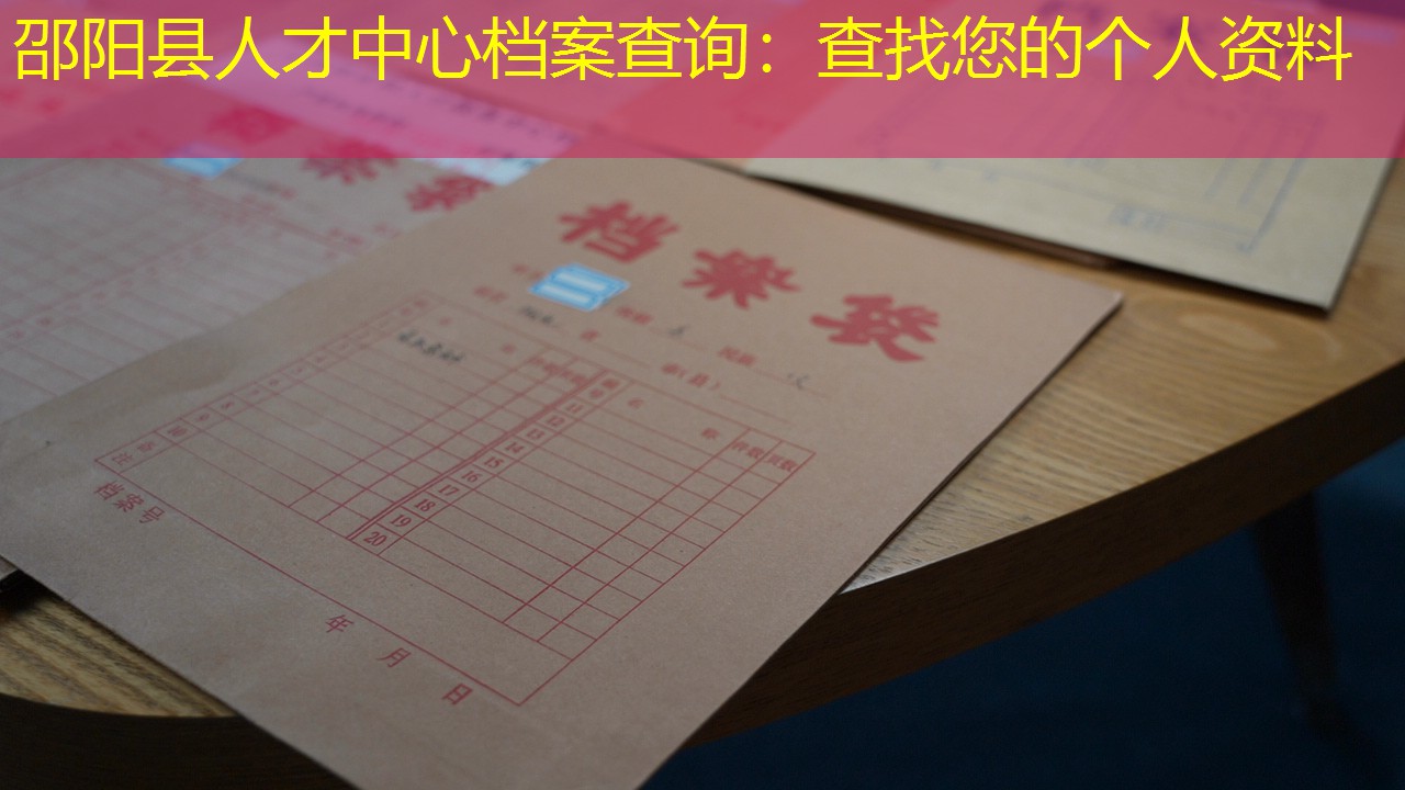 档案查询