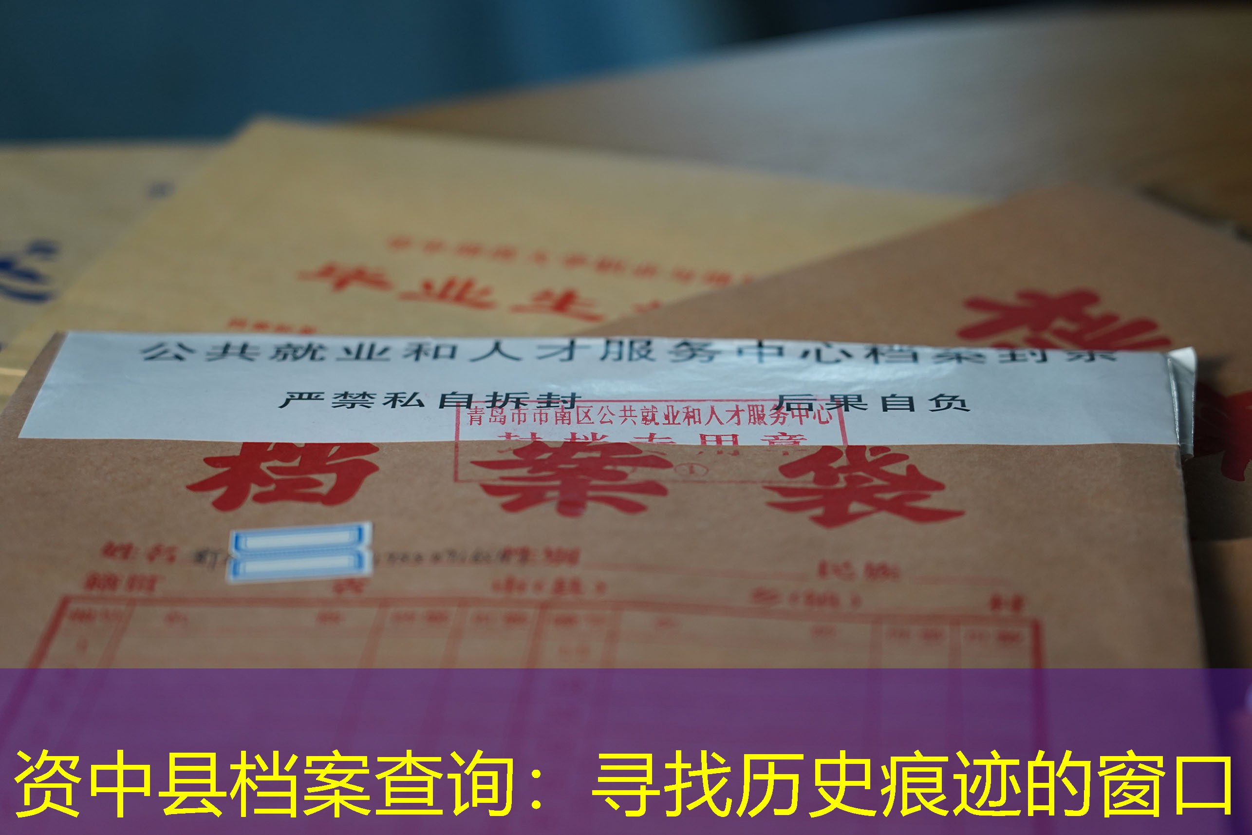 档案查询