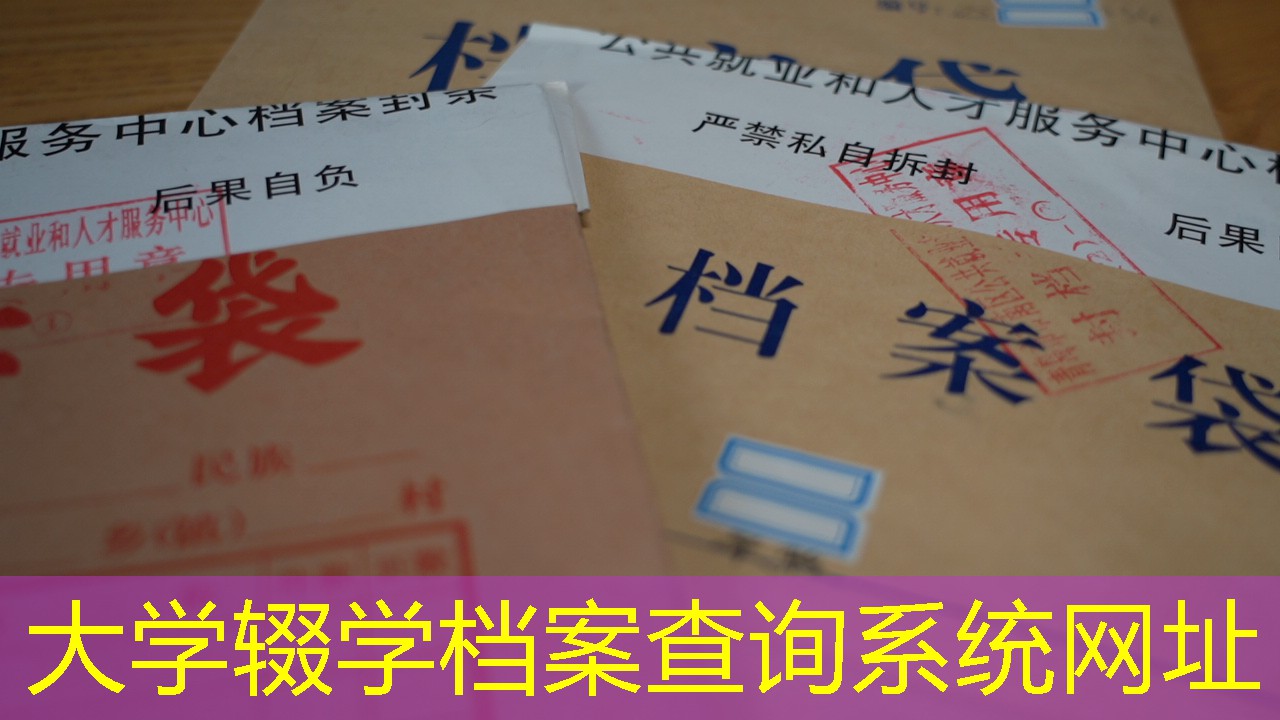 档案查询