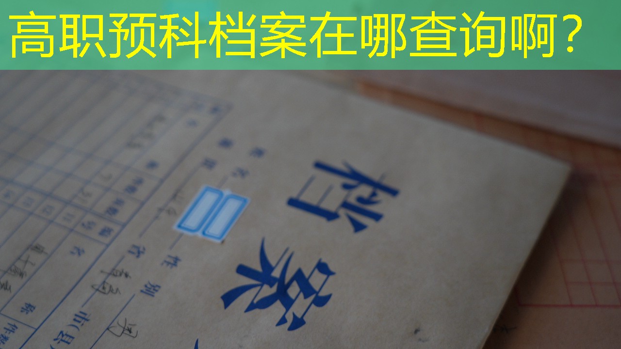 档案查询