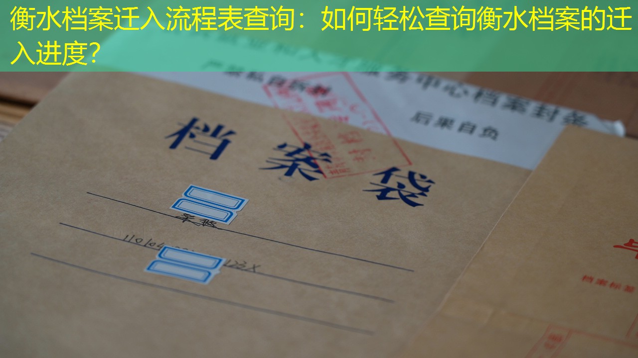 档案查询