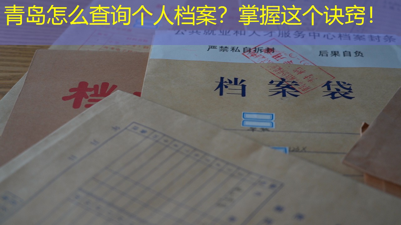 档案查询