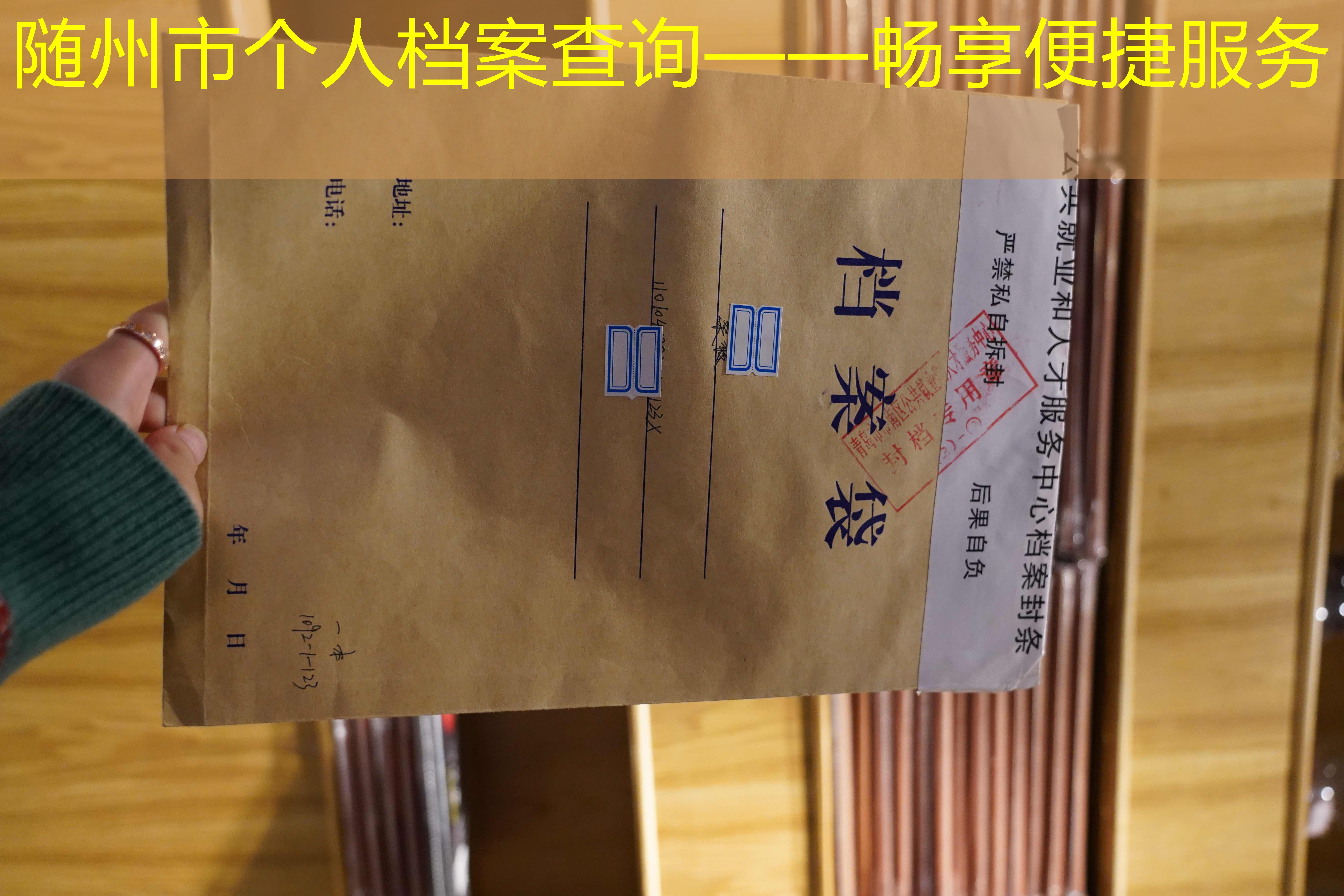 档案查询