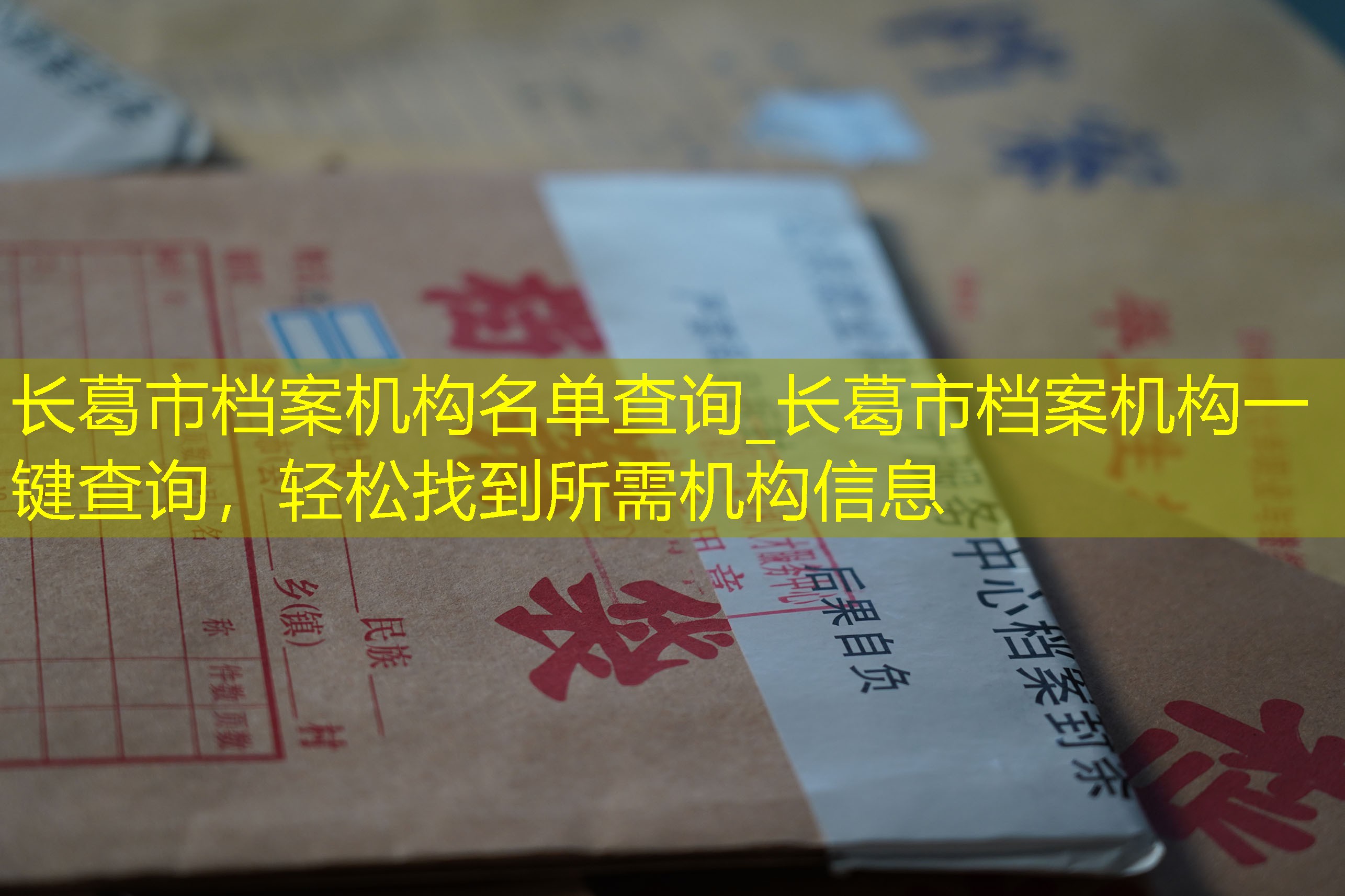 档案查询