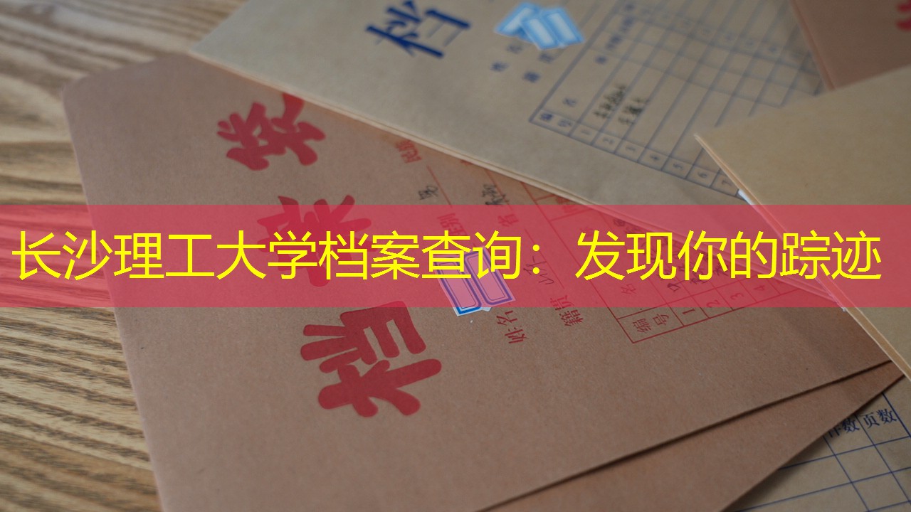 档案查询