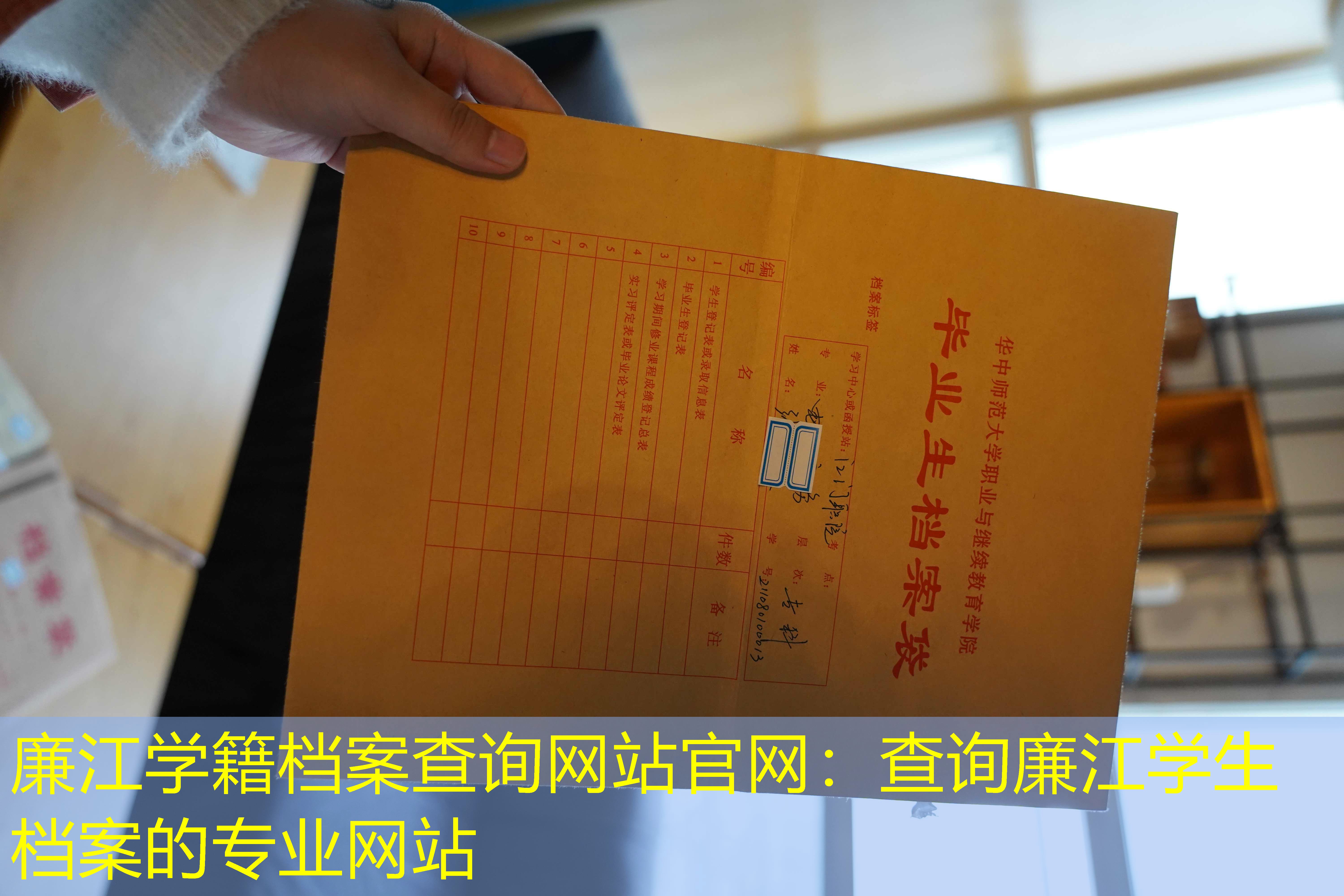 档案查询