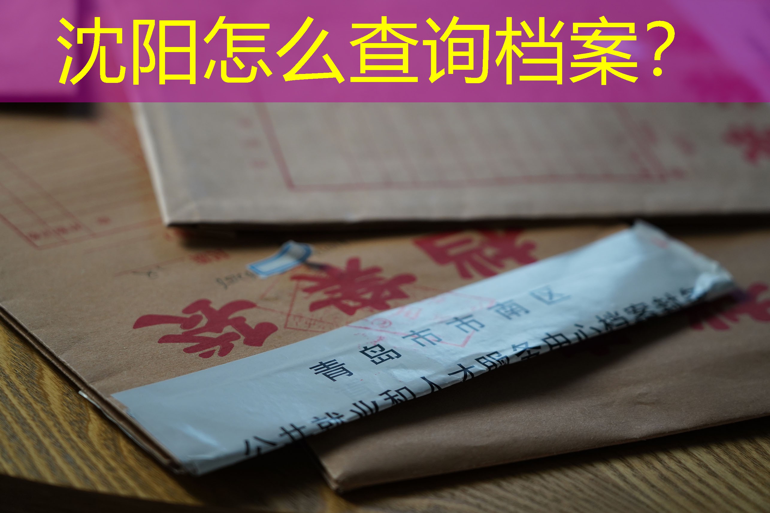 档案查询