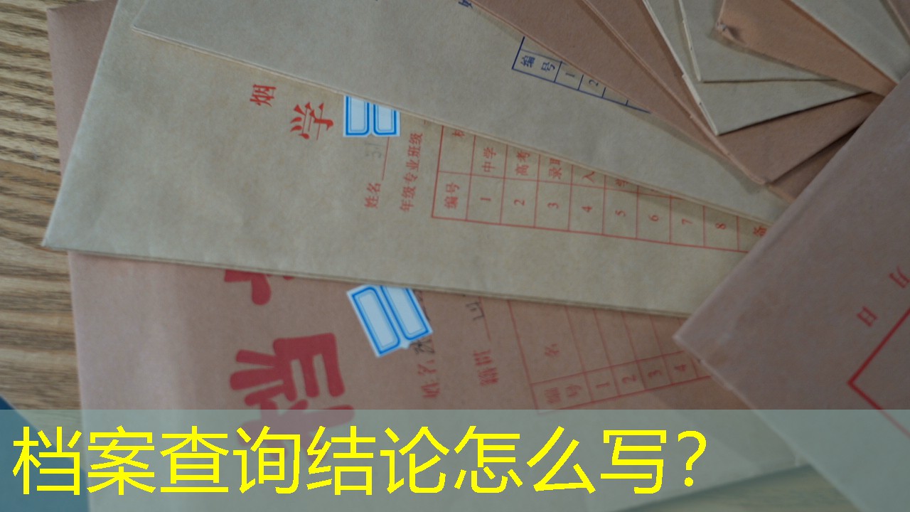 档案查询
