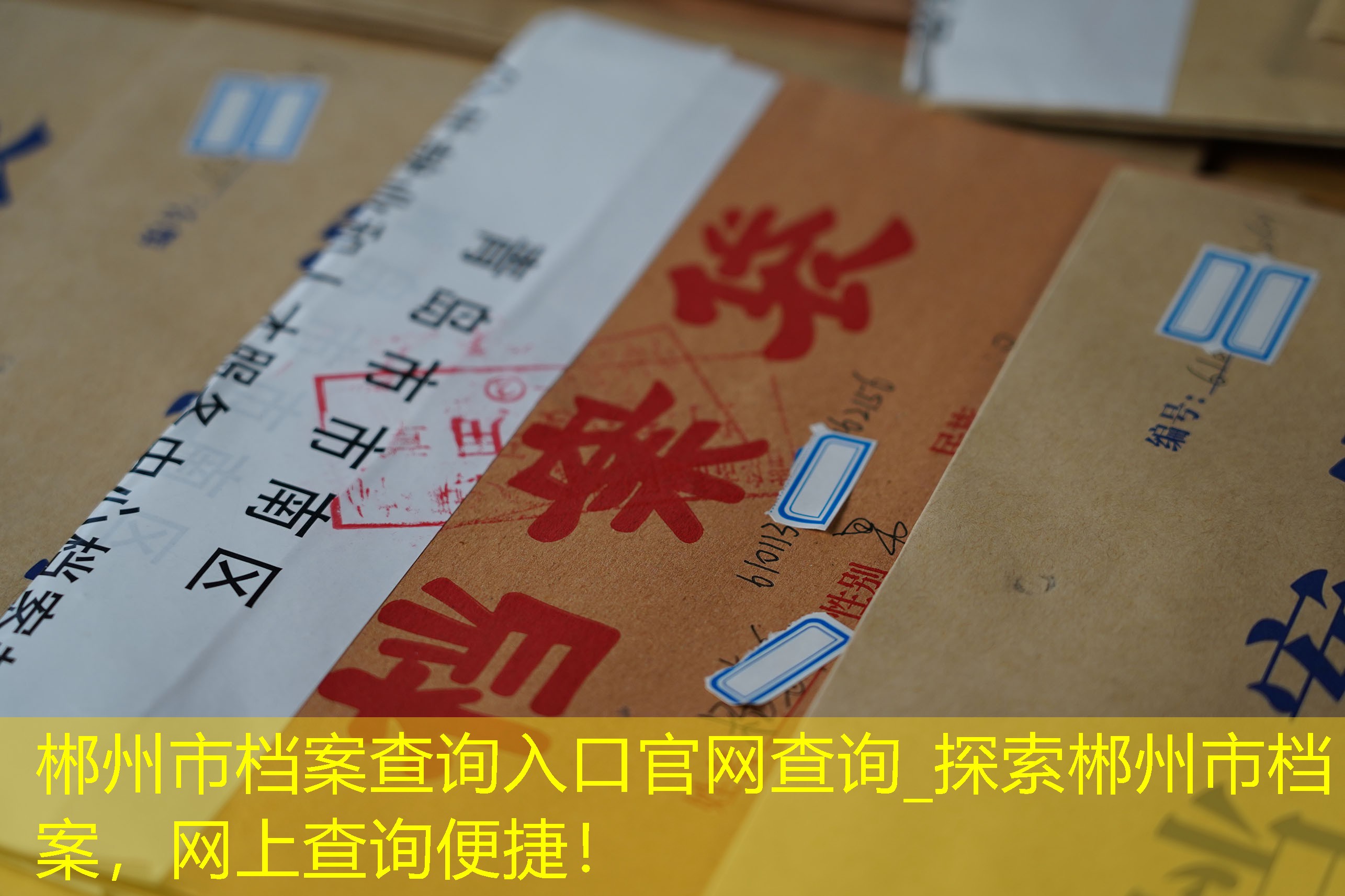 档案查询