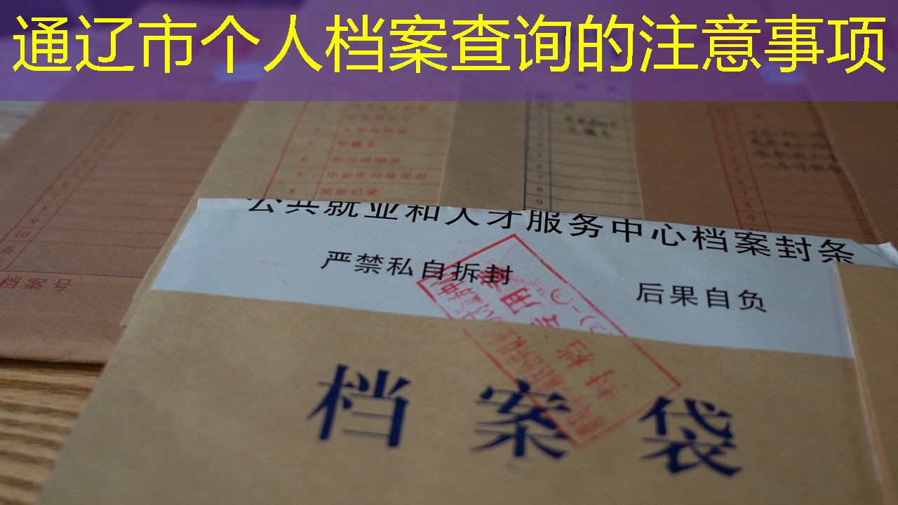 档案查询