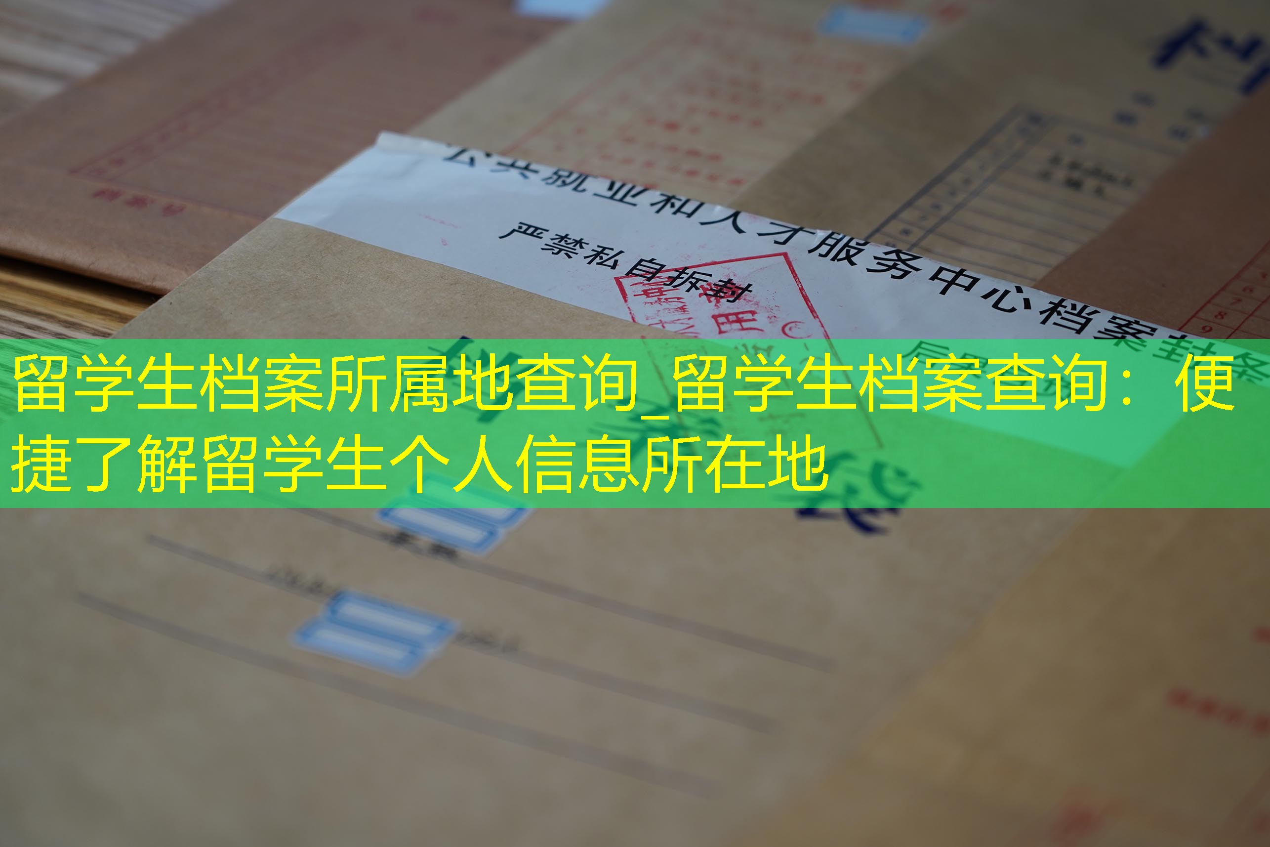 档案查询