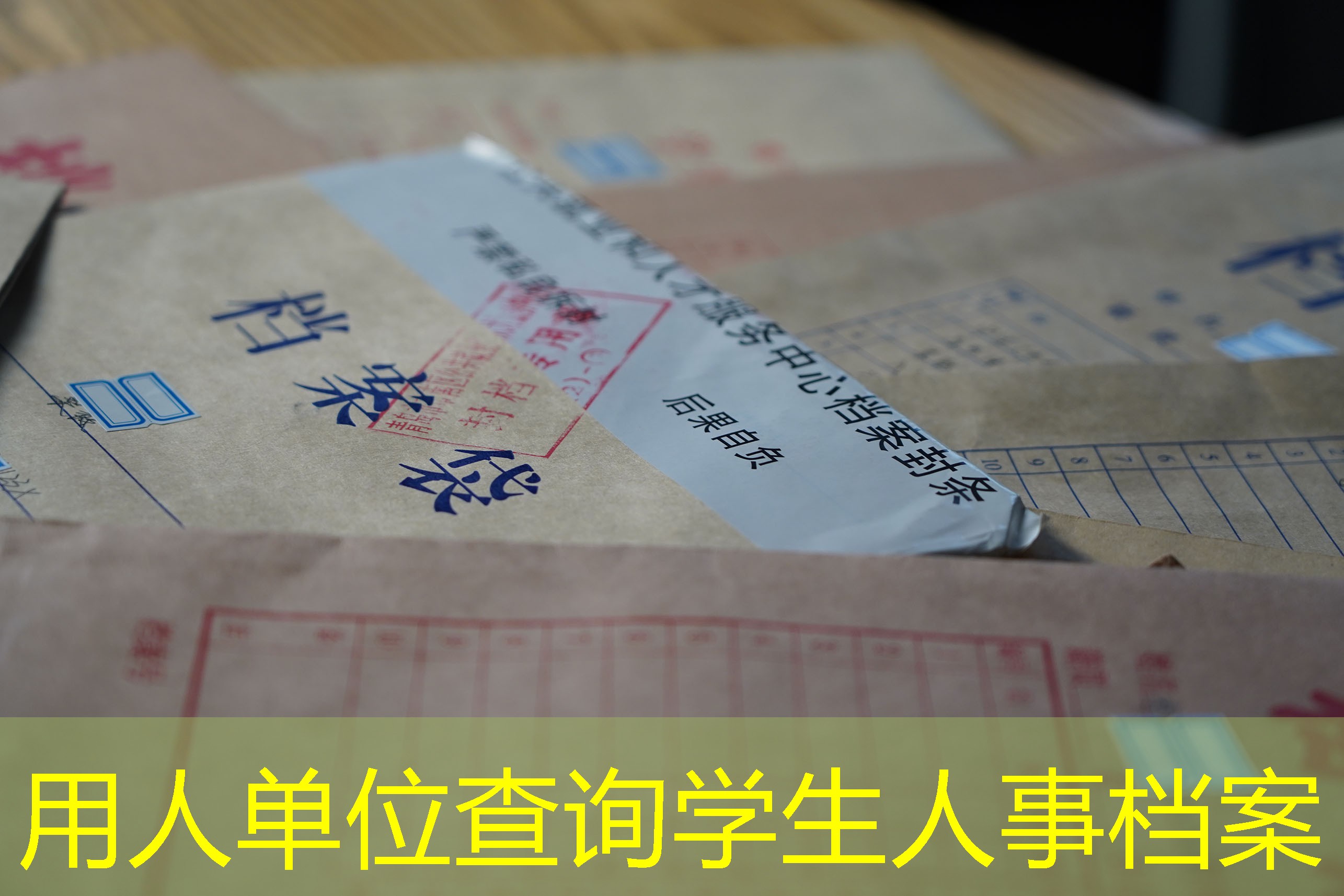 档案查询