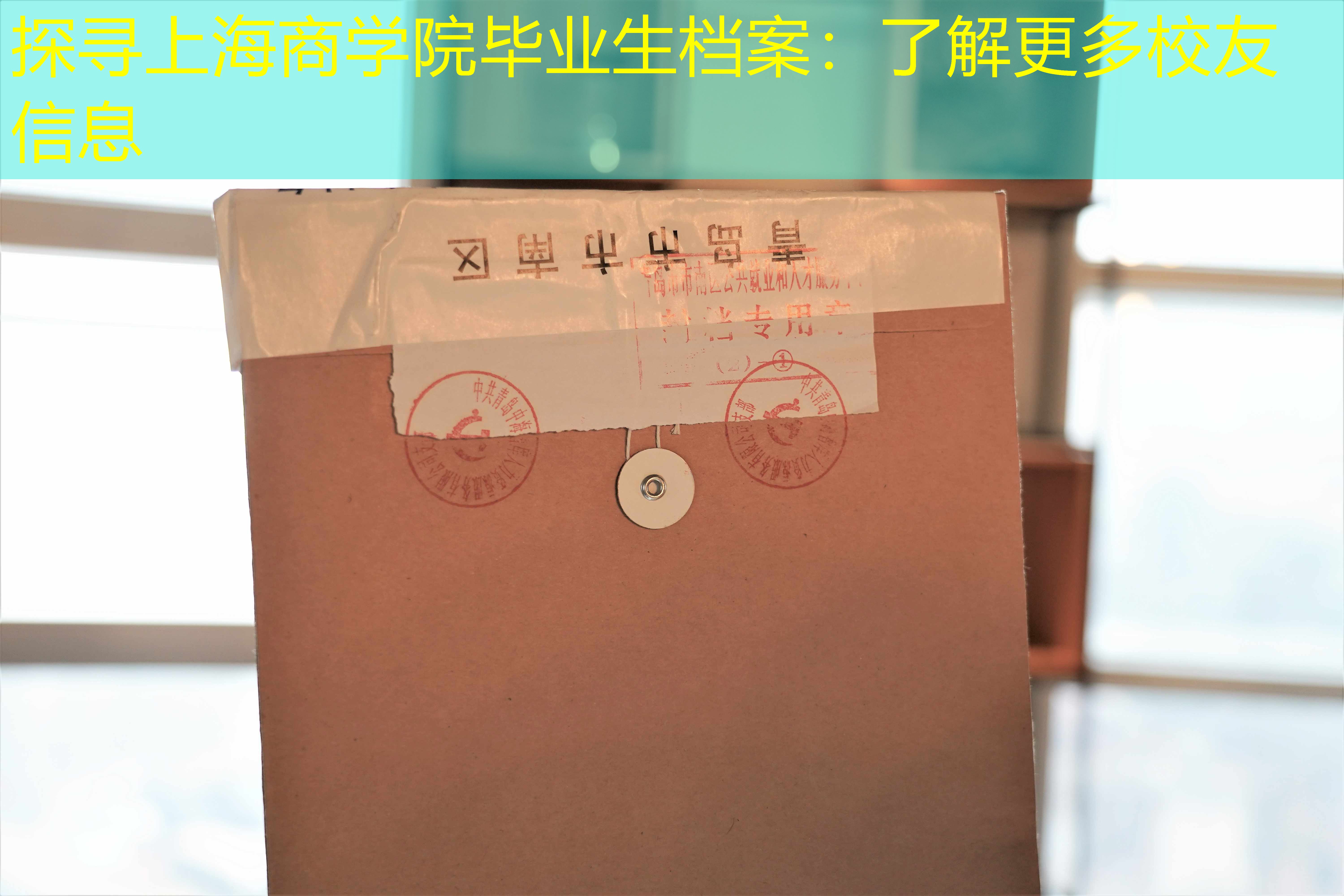 档案查询