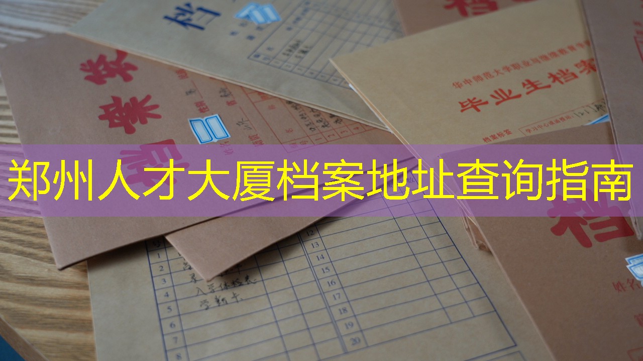 档案查询