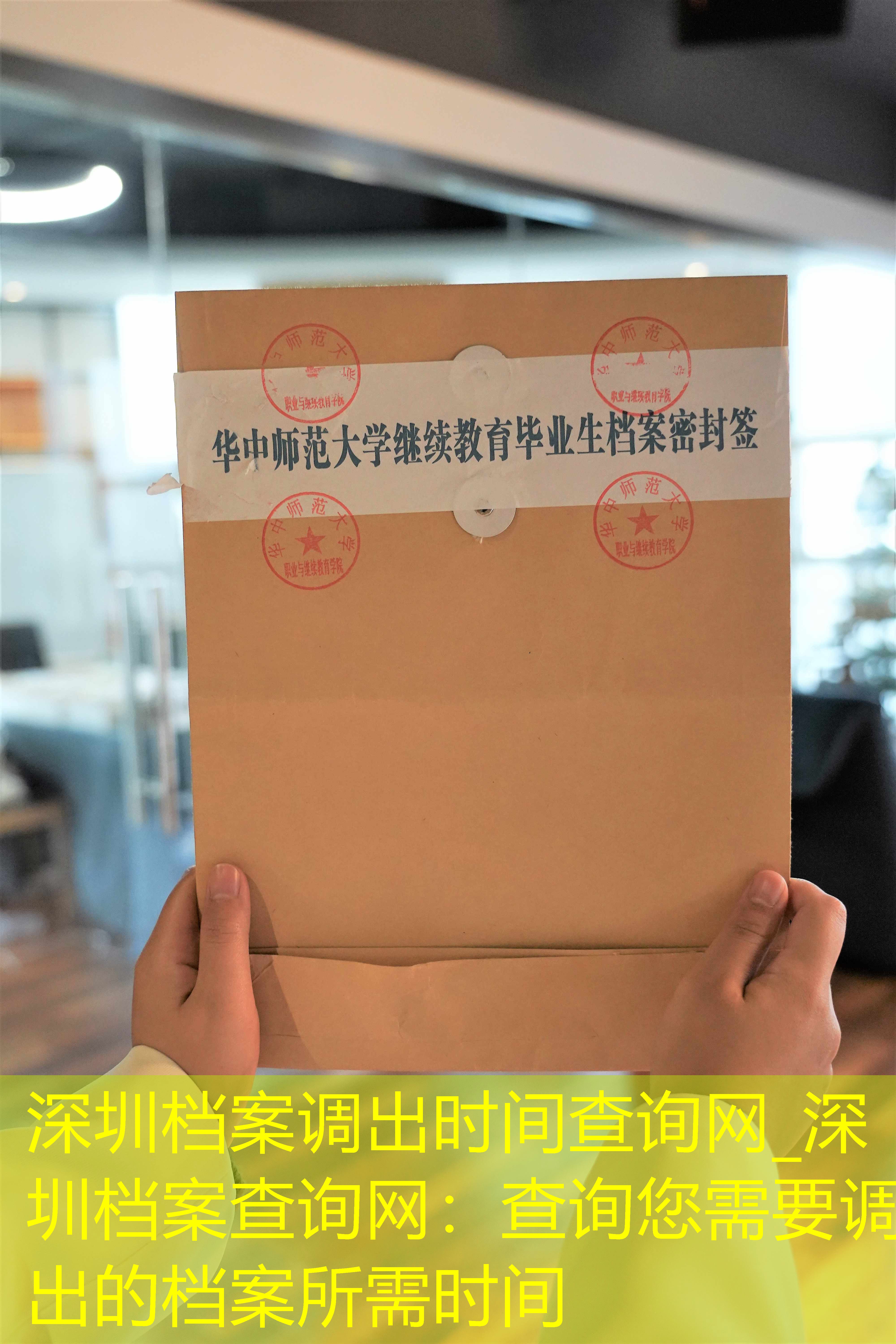 档案查询