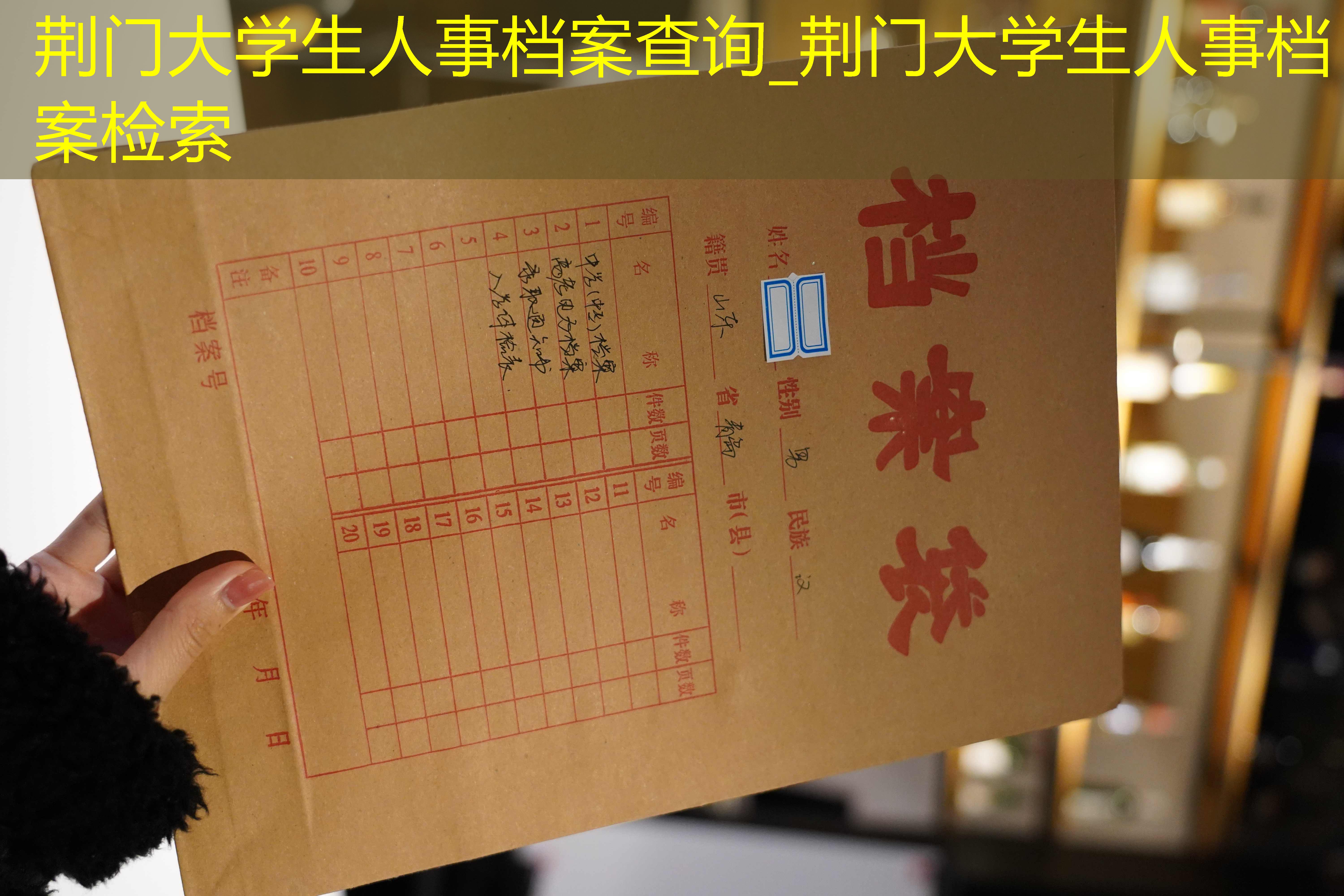 档案查询