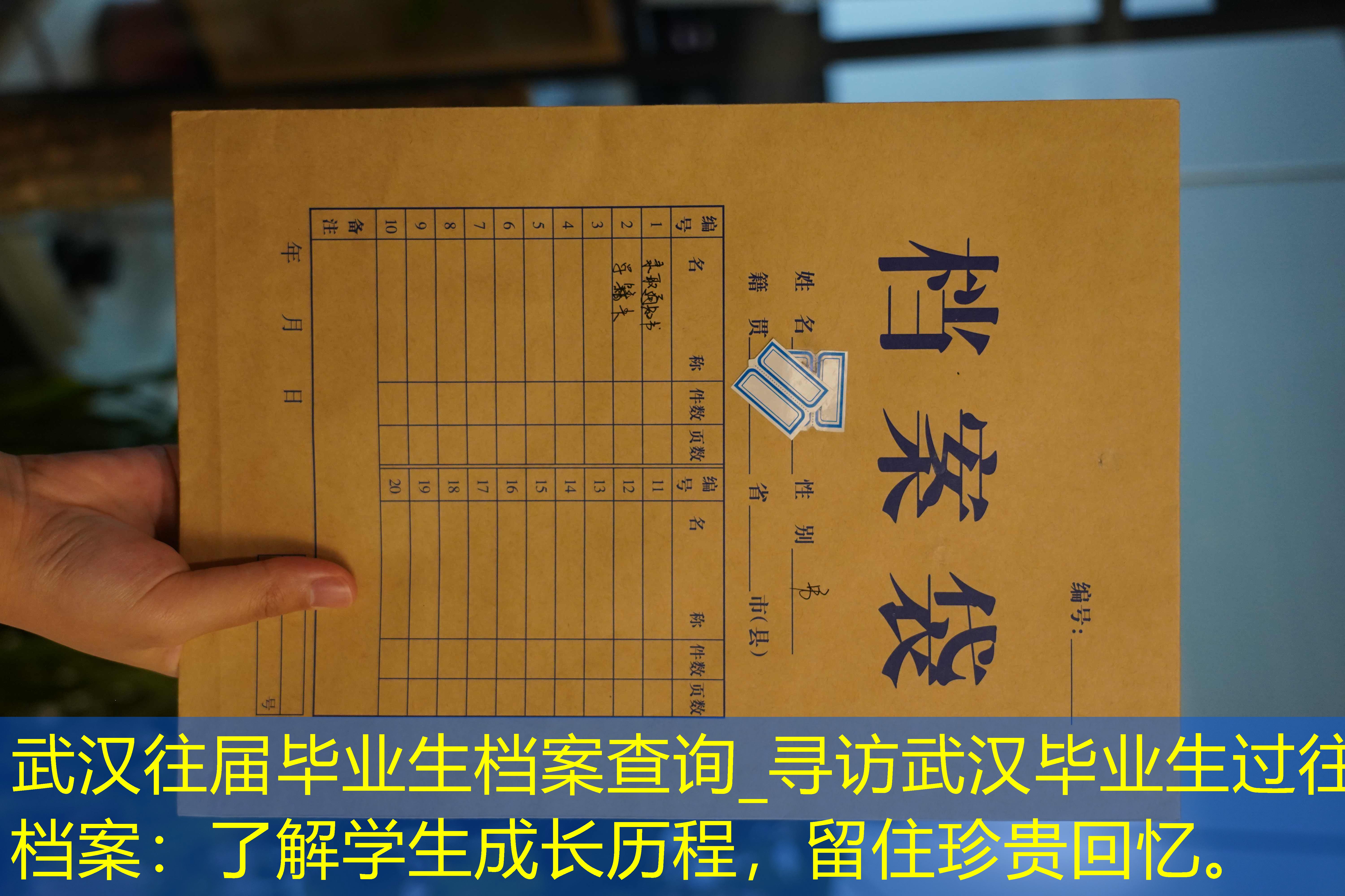 档案查询