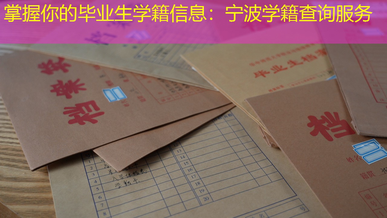 档案查询