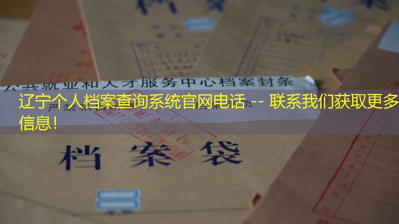 档案查询