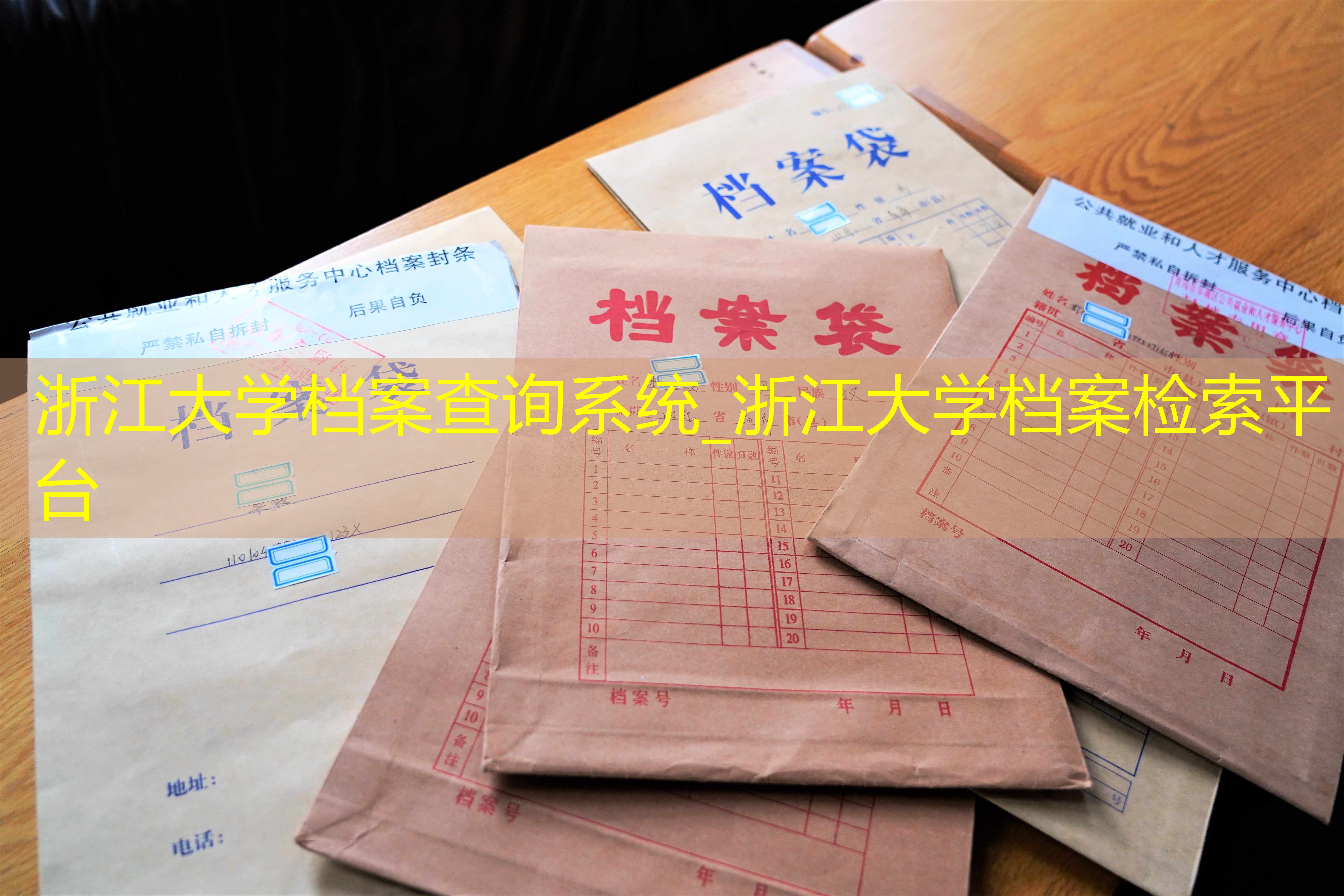 档案查询
