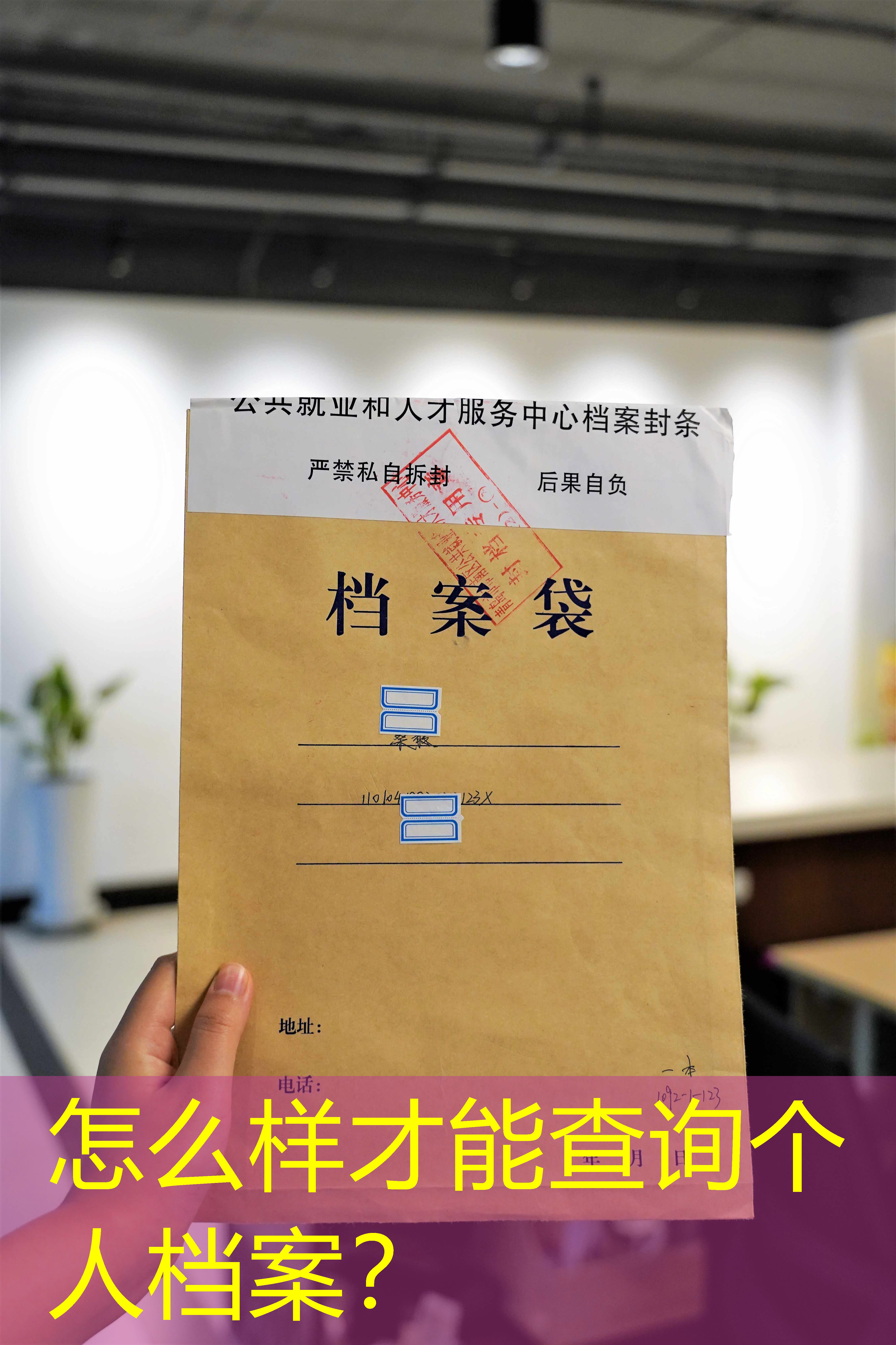档案查询