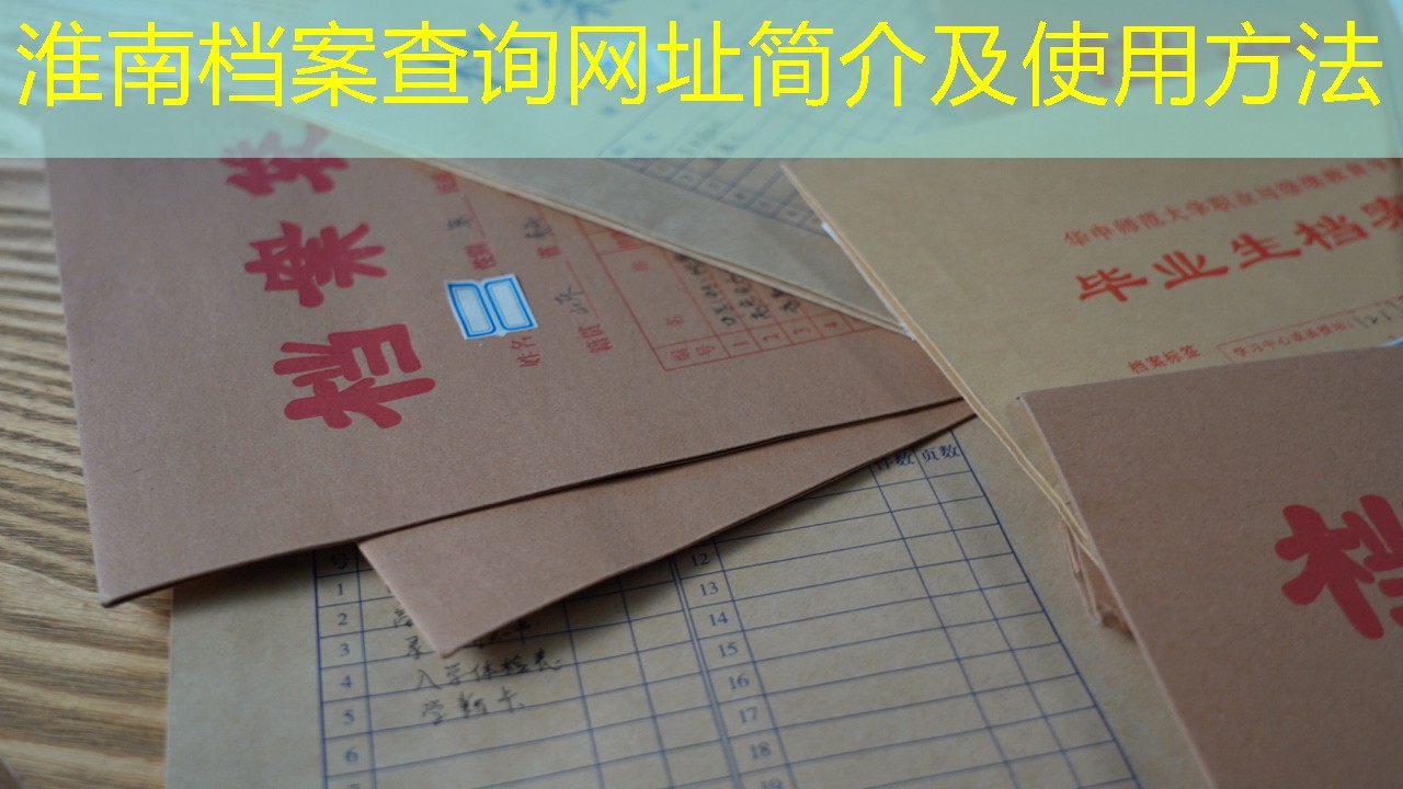 档案查询