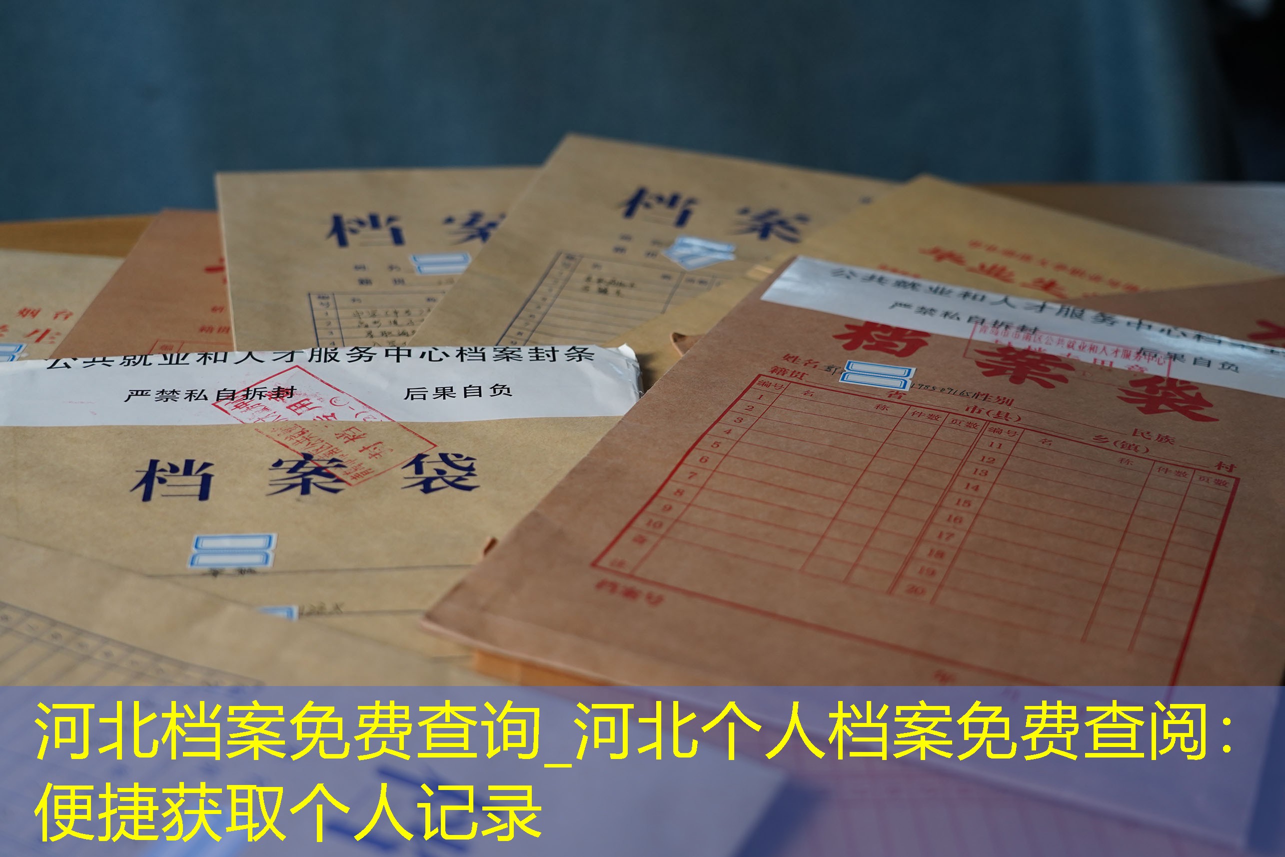 档案查询