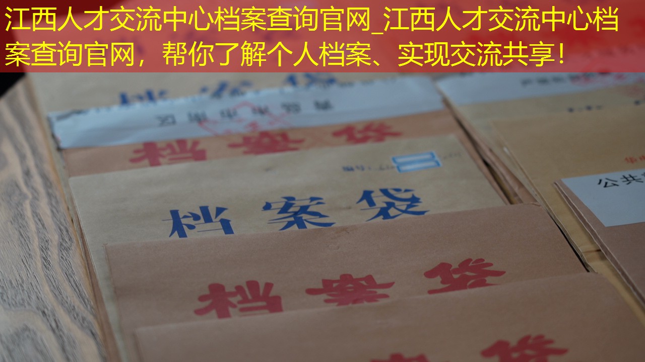 档案查询