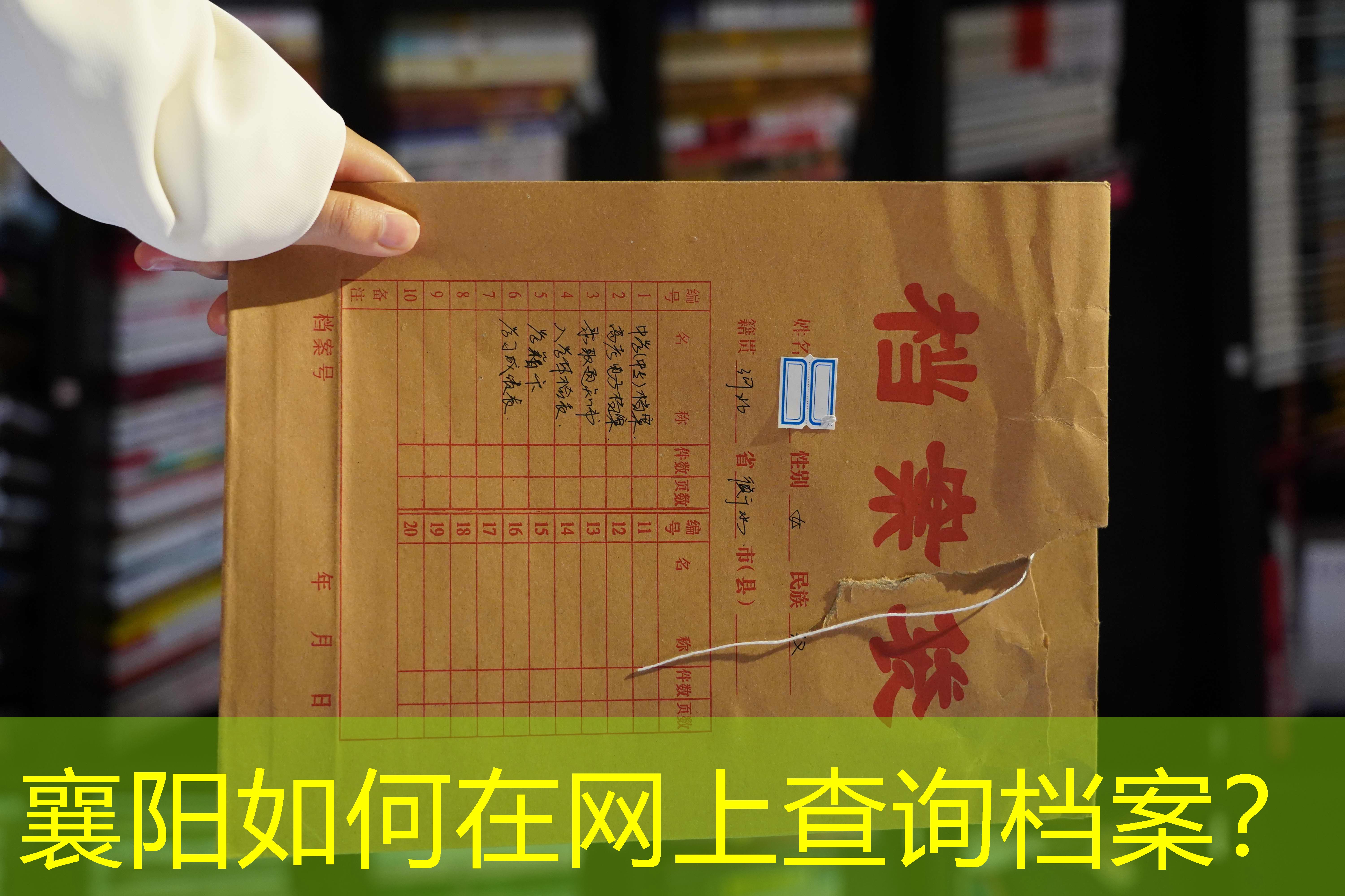 档案查询