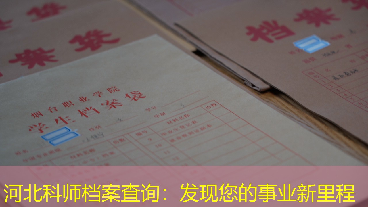 档案查询