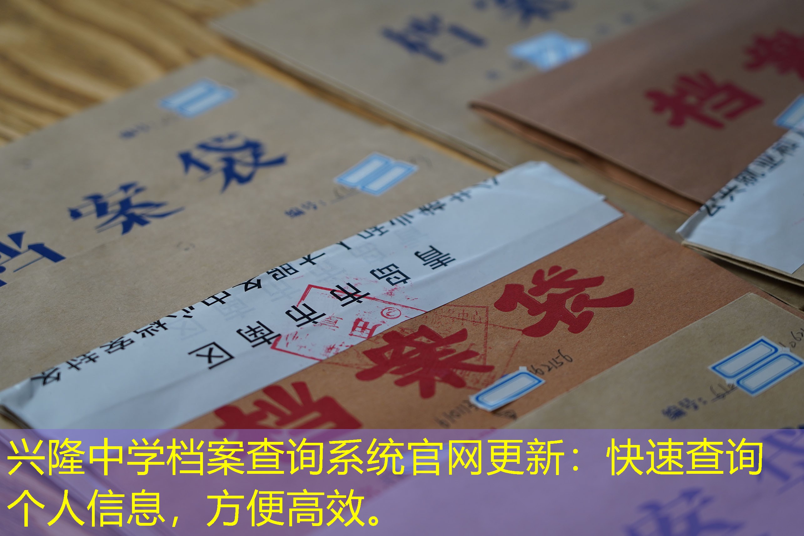 档案查询
