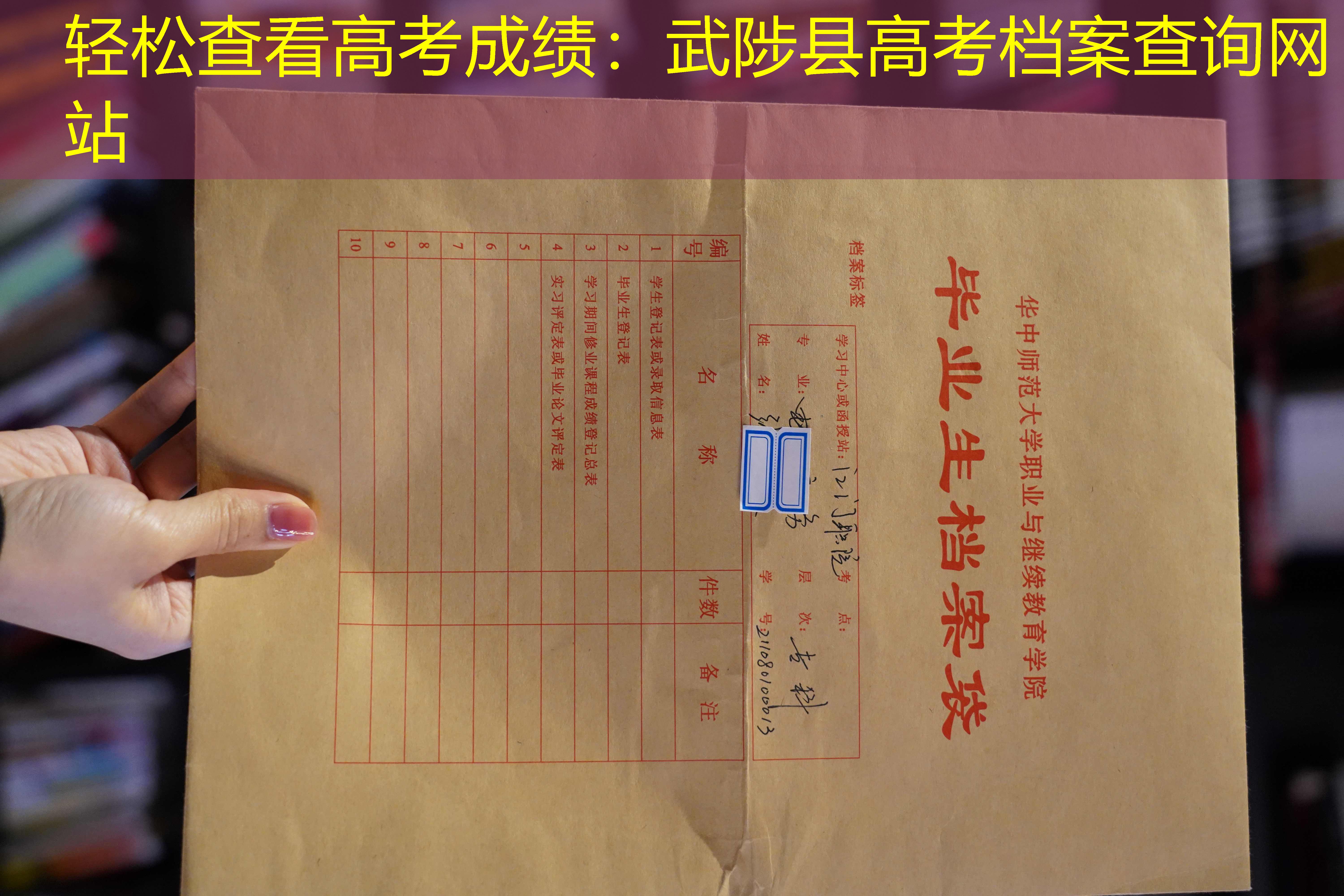 档案查询