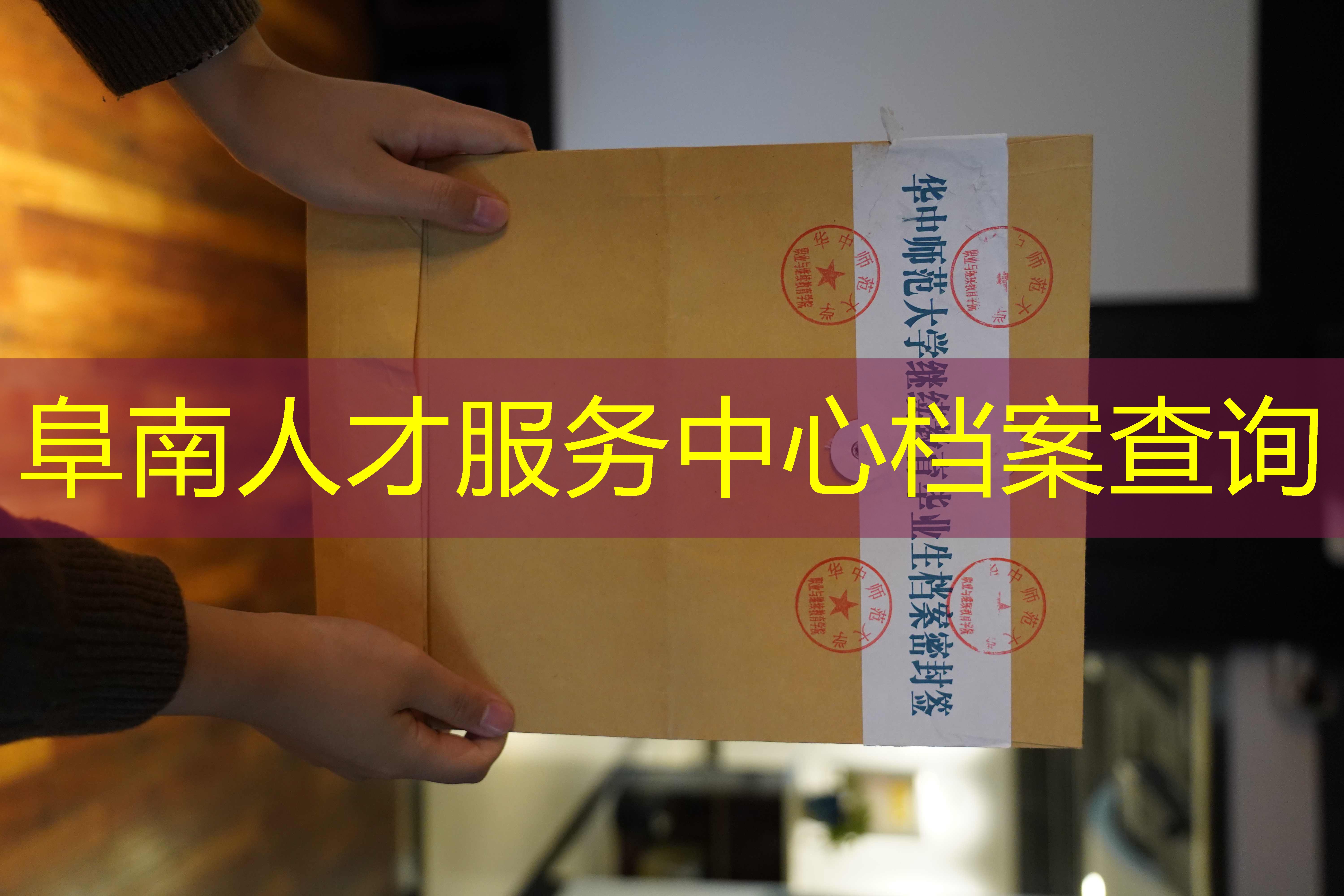 档案查询