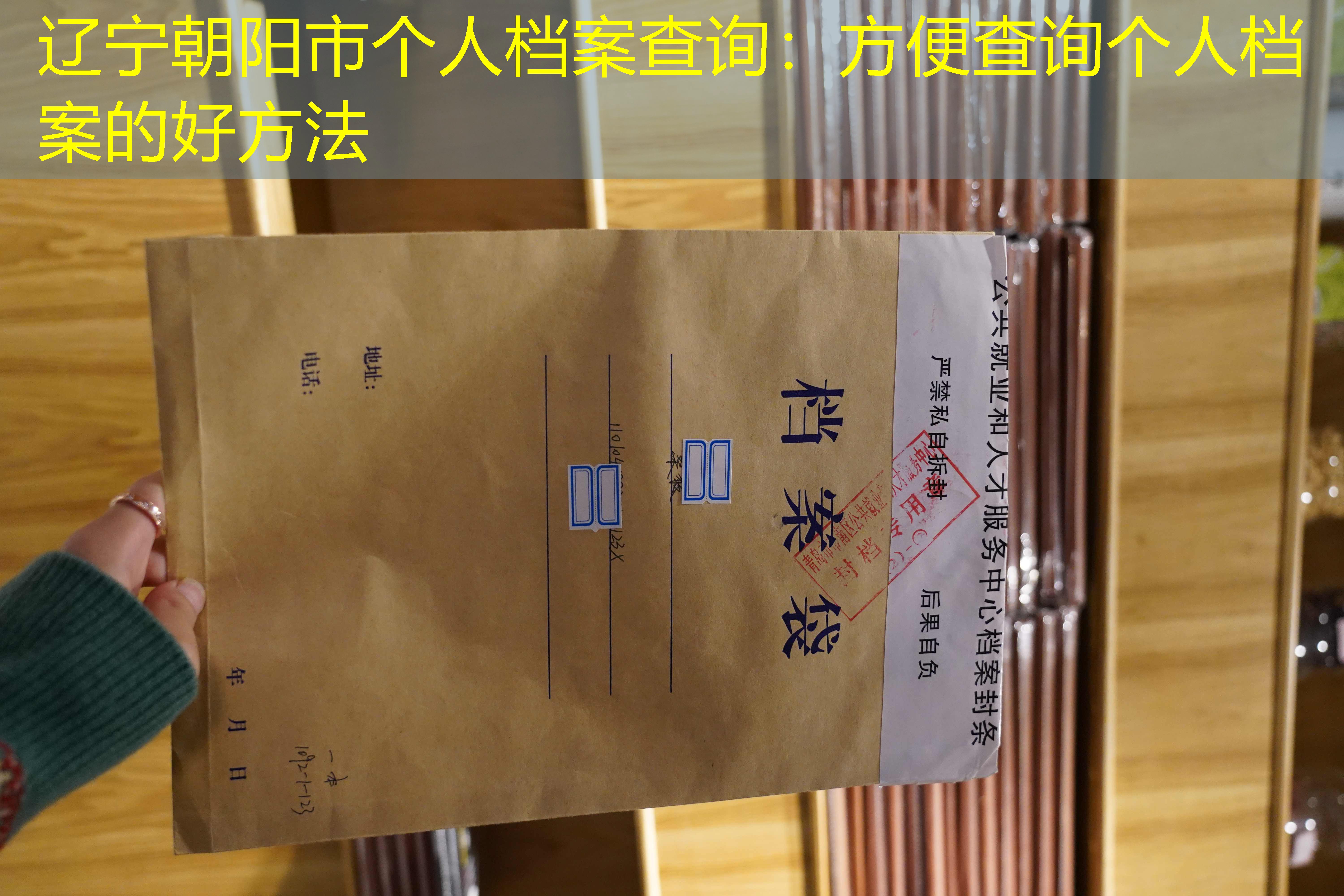 档案查询