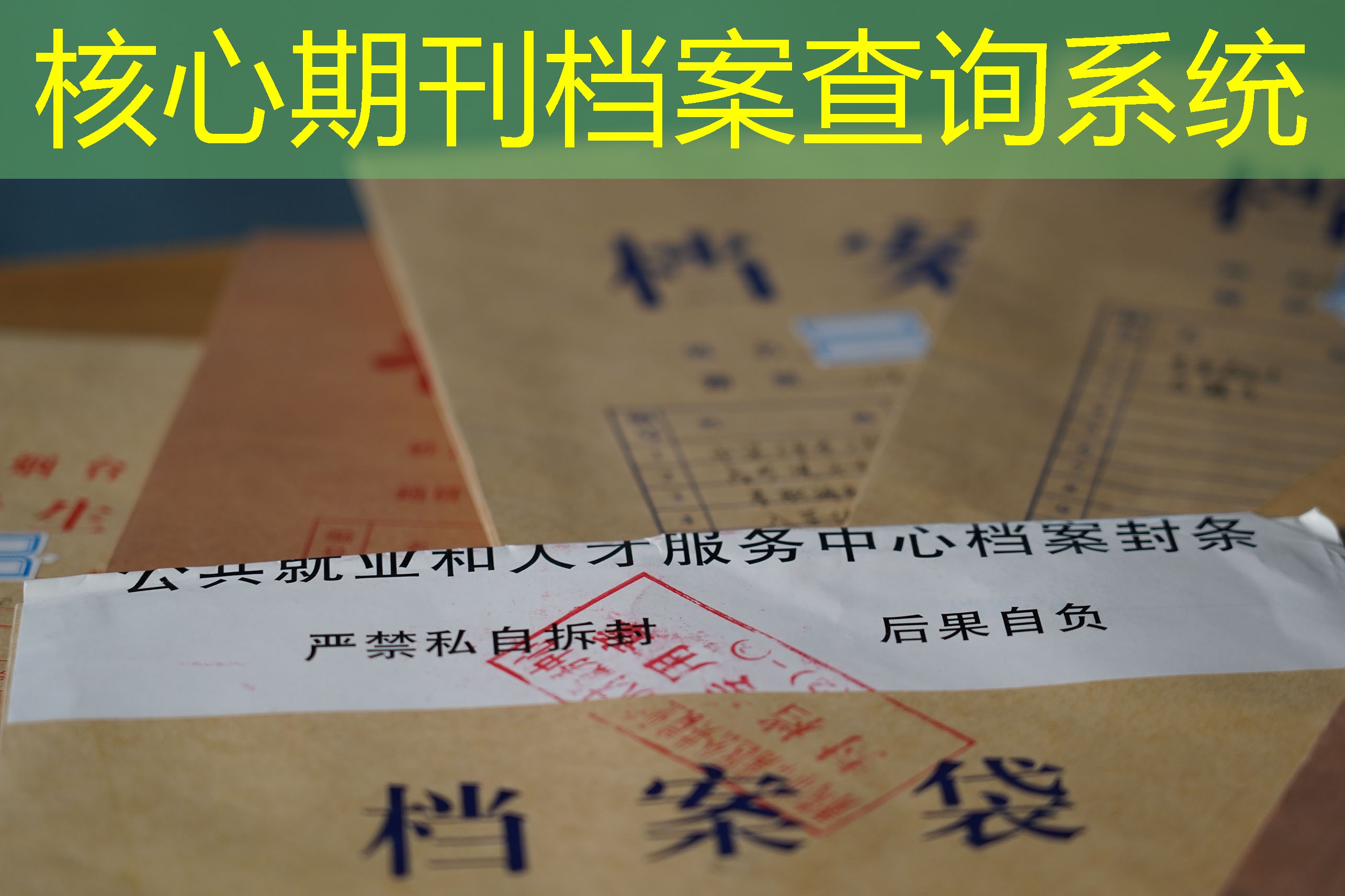 档案查询